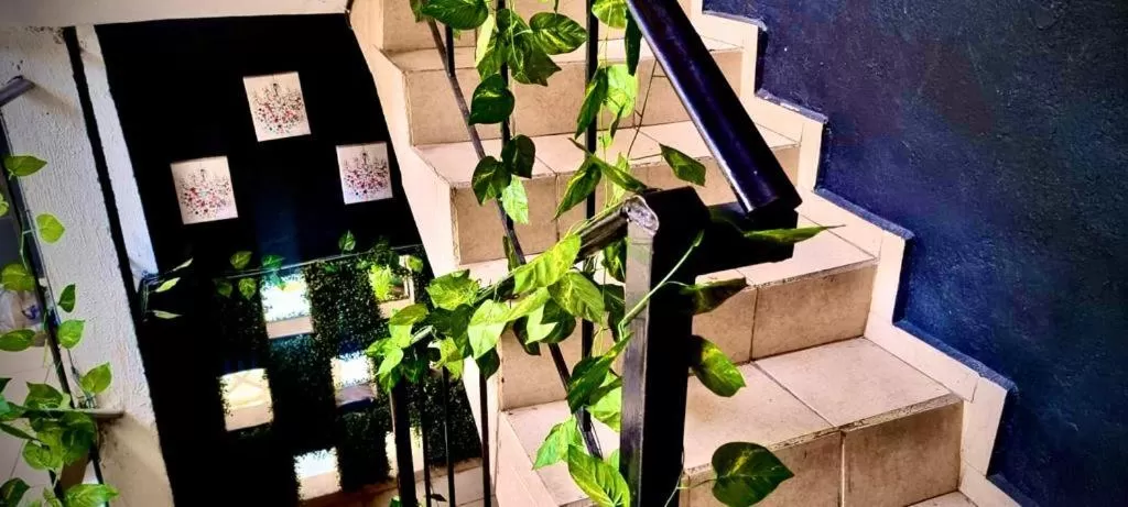 MINI HOTEL San Luis Potosí