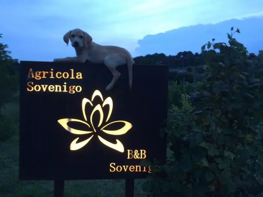 B&B Sovenigo