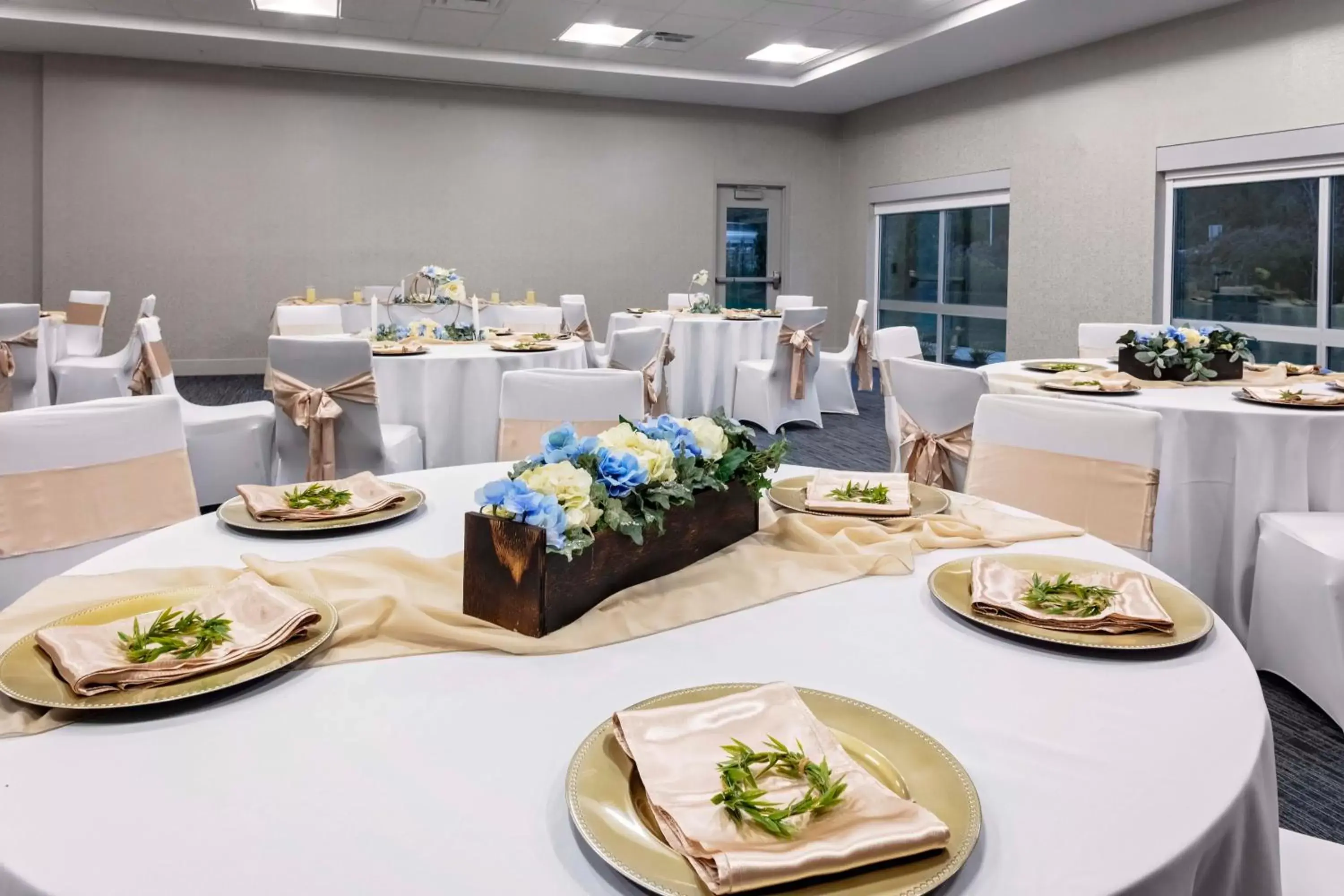 Banquet/Function facilities, Restaurant/Places to Eat in Holiday Inn Express & Suites - Madison, an IHG Hotel