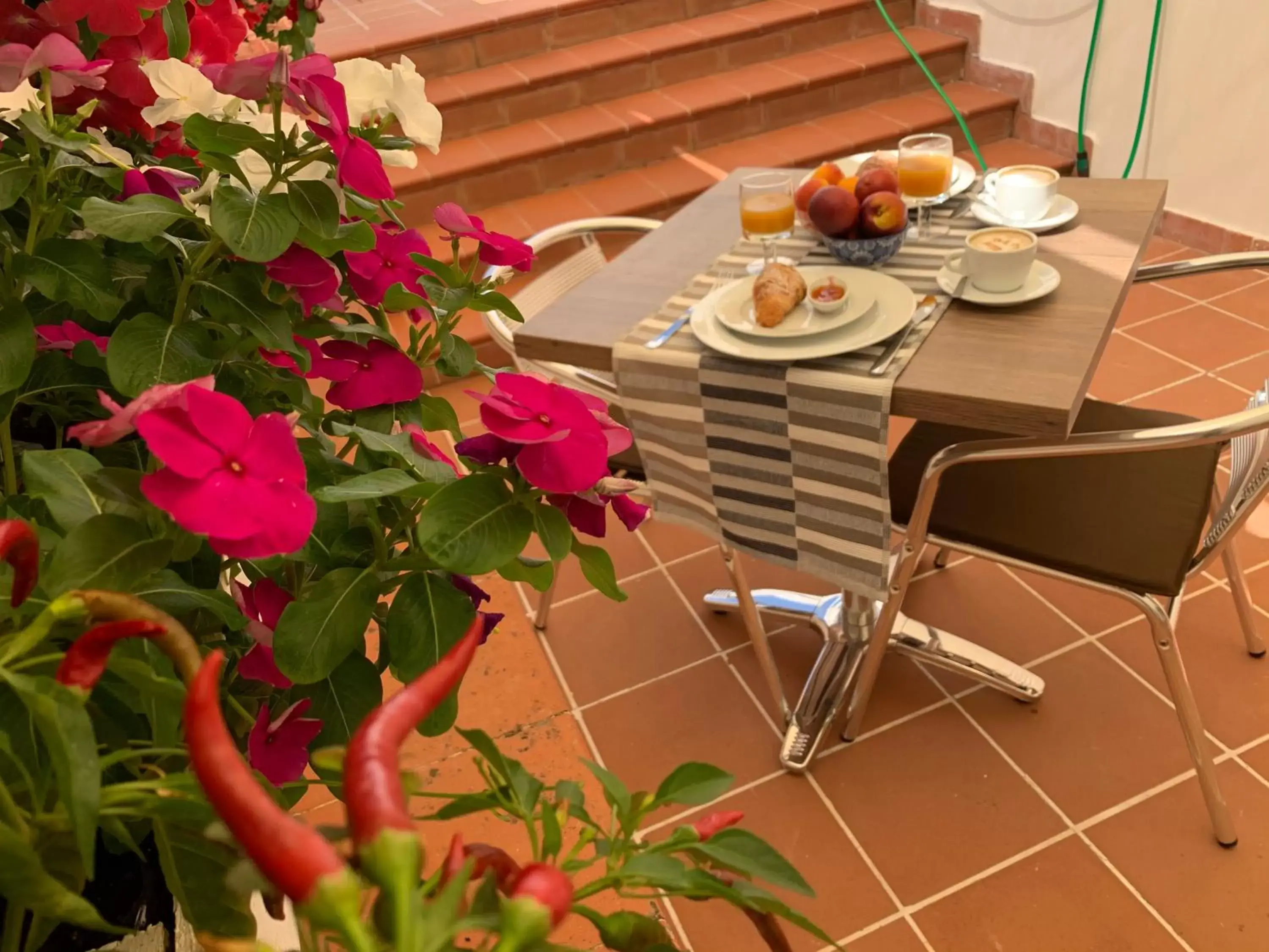 Balcony/Terrace in Beppe House