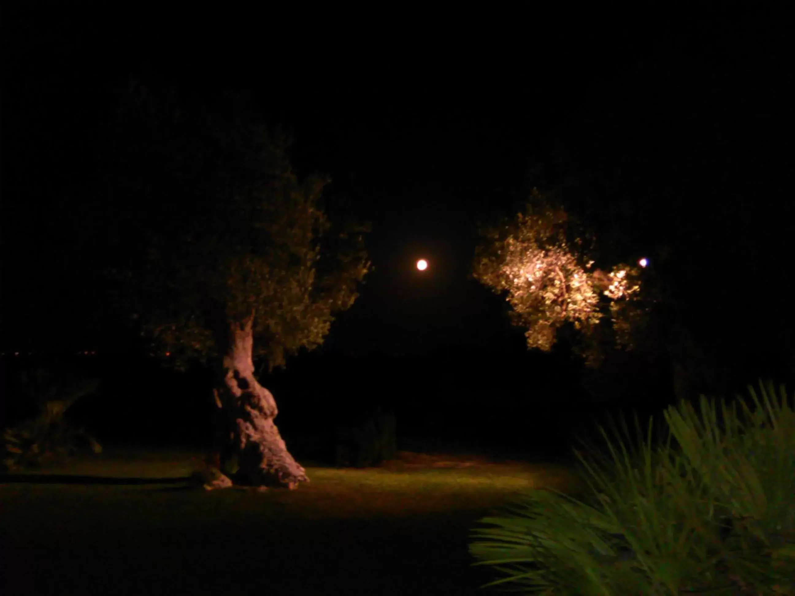 Night in Agriturismo Masseria Alberotanza