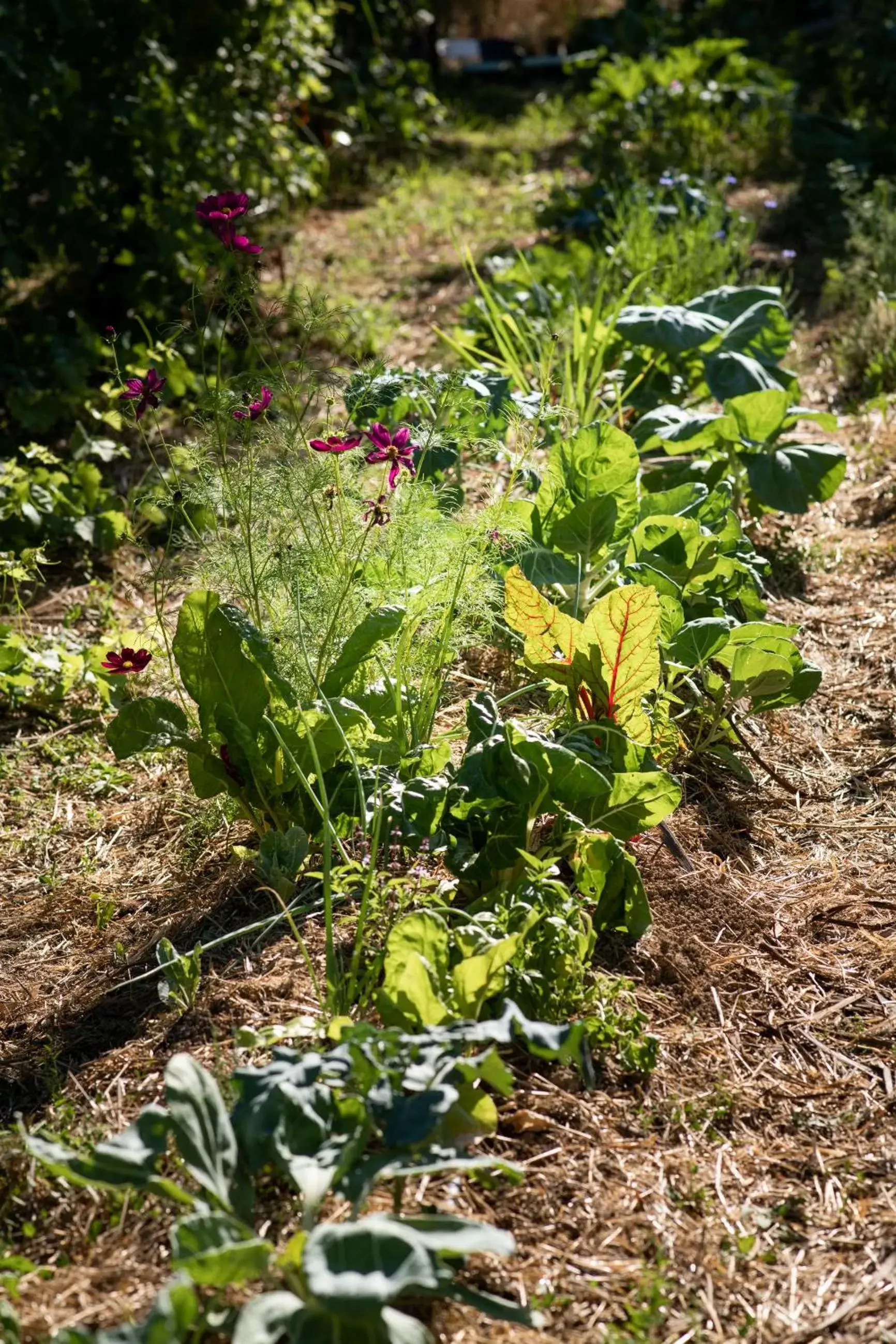 Natural landscape in Altanure - Casa Terra Ecological Boutique Hotel