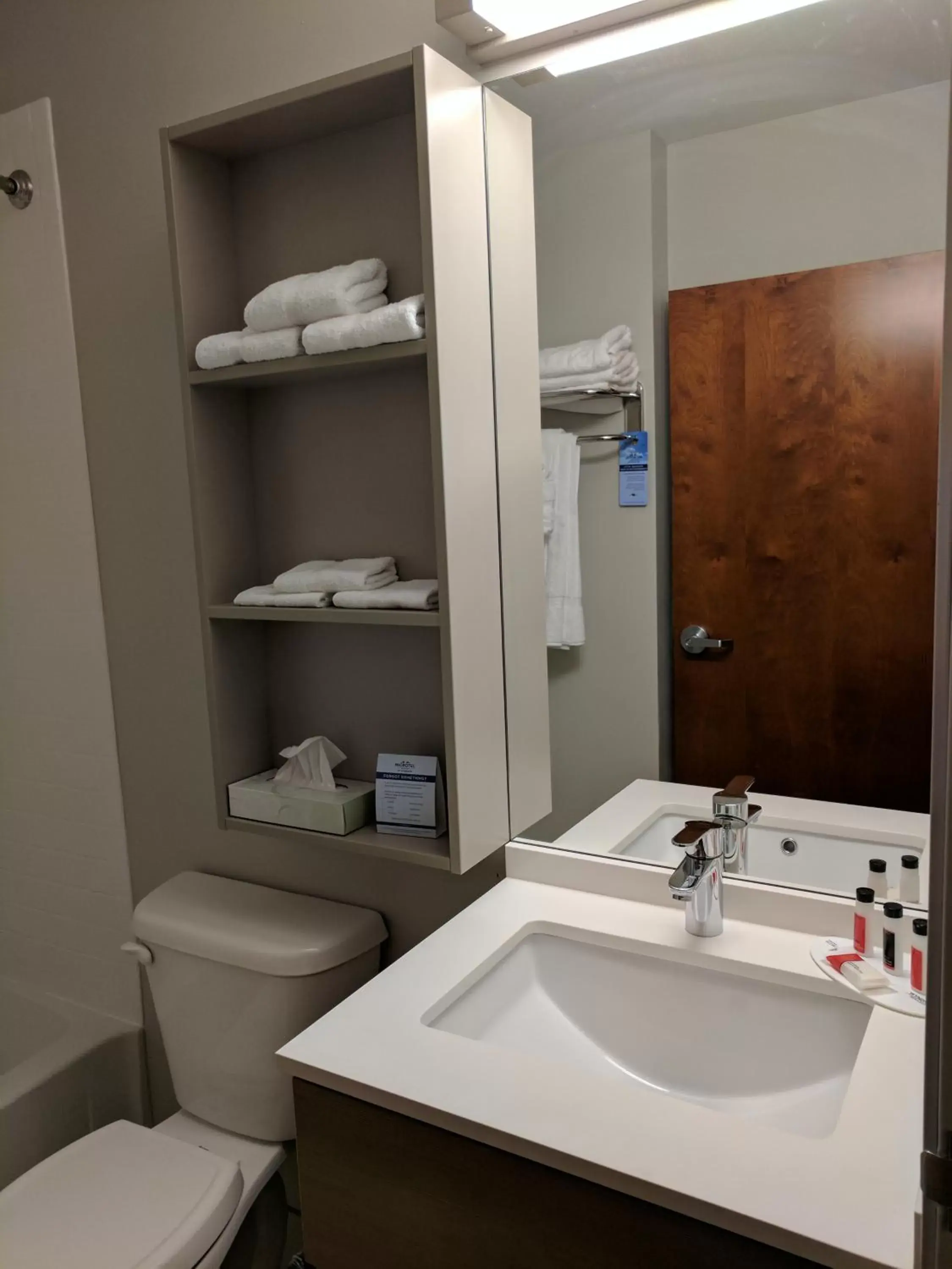 Shower, Bathroom in Microtel Inn & Suites by Wyndham Clarion