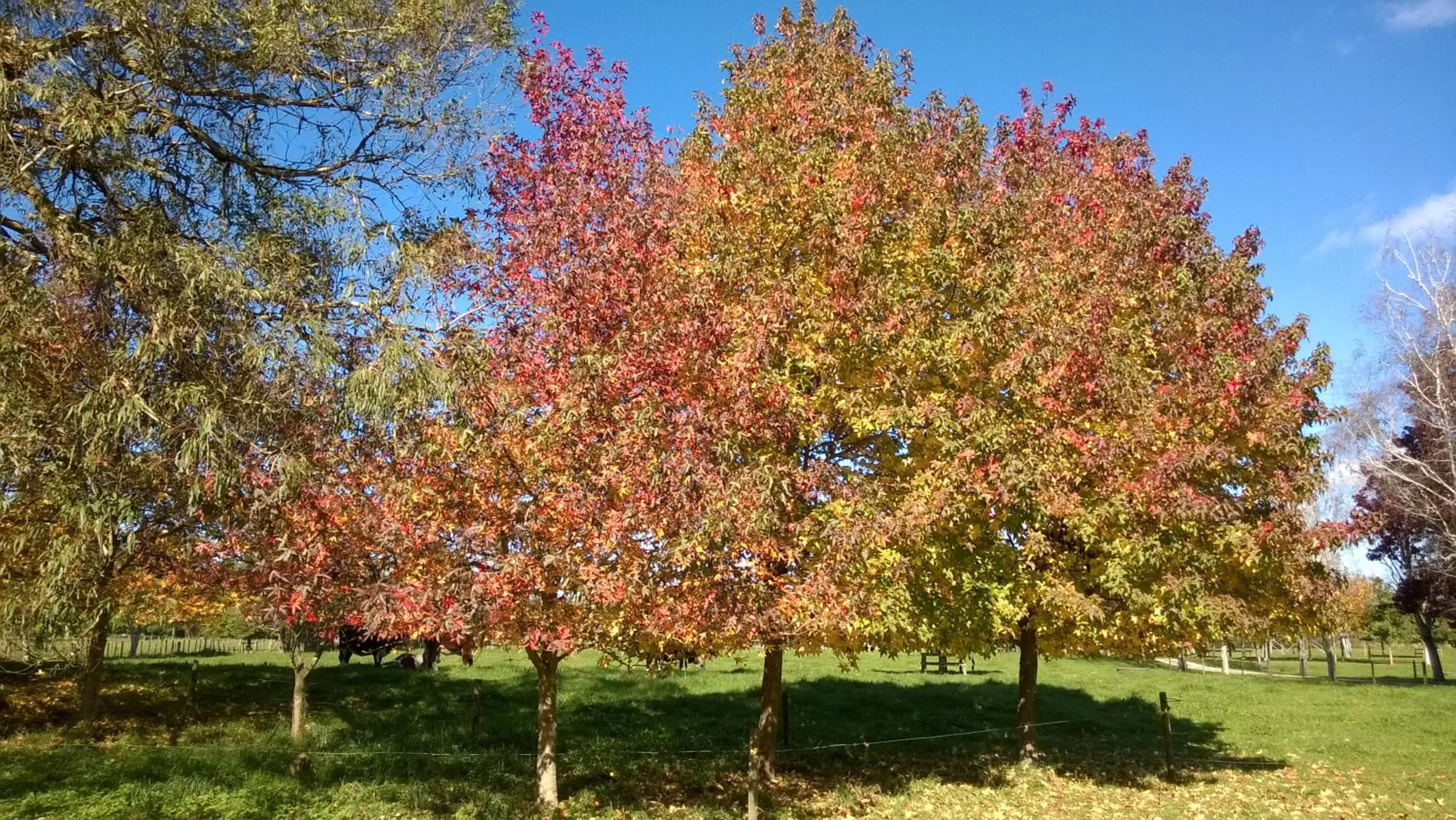 Landmark view in Korbaylen Estate