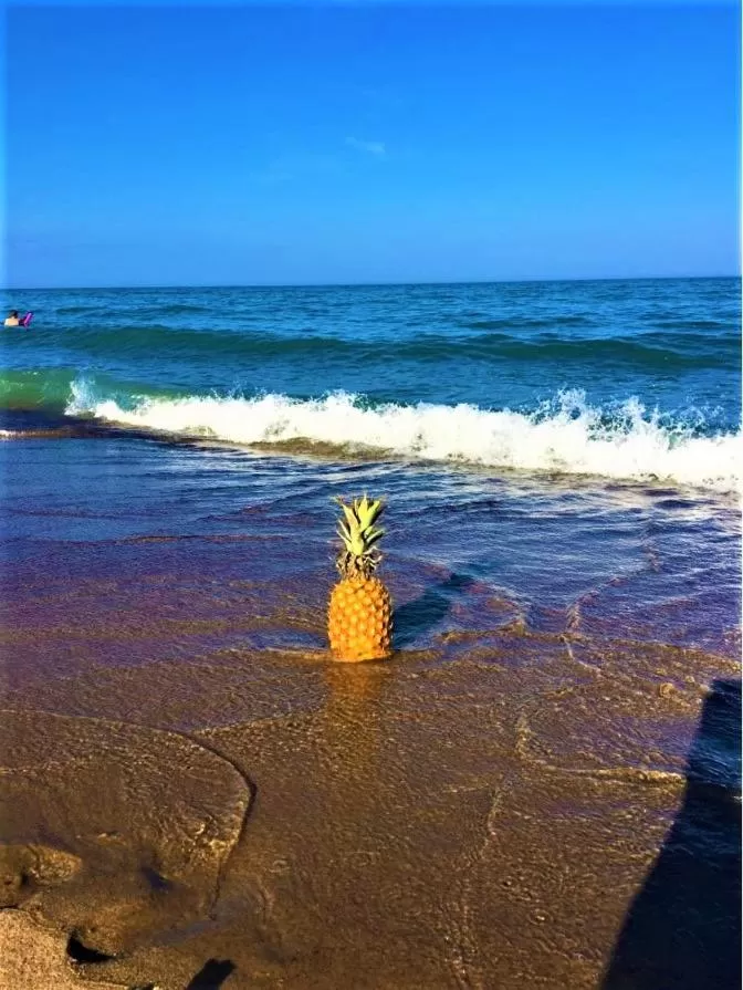 Day, Beach in Gold Coast Family Cottages