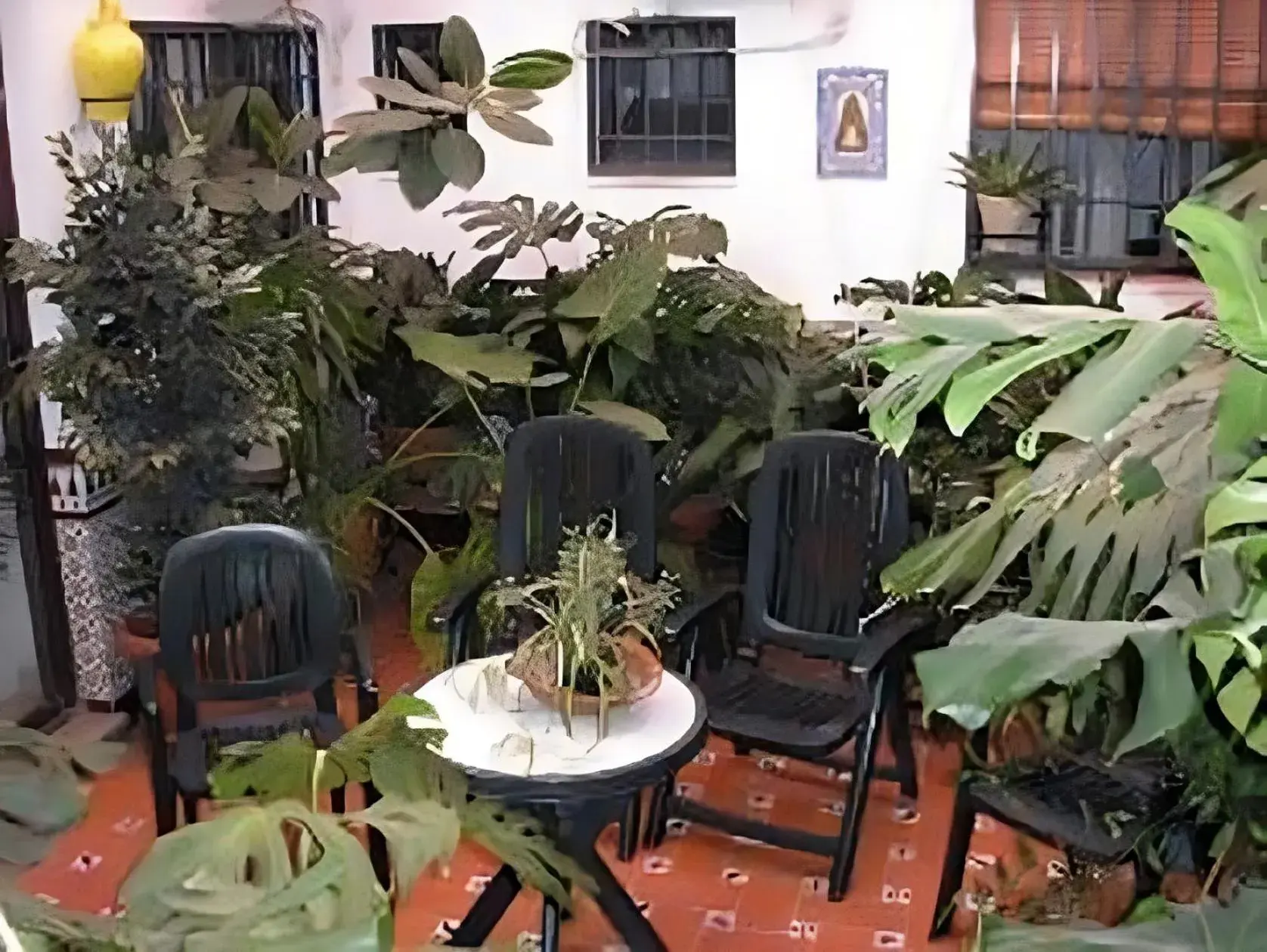 Garden, Restaurant/Places to Eat in Hostal Colon Antequera