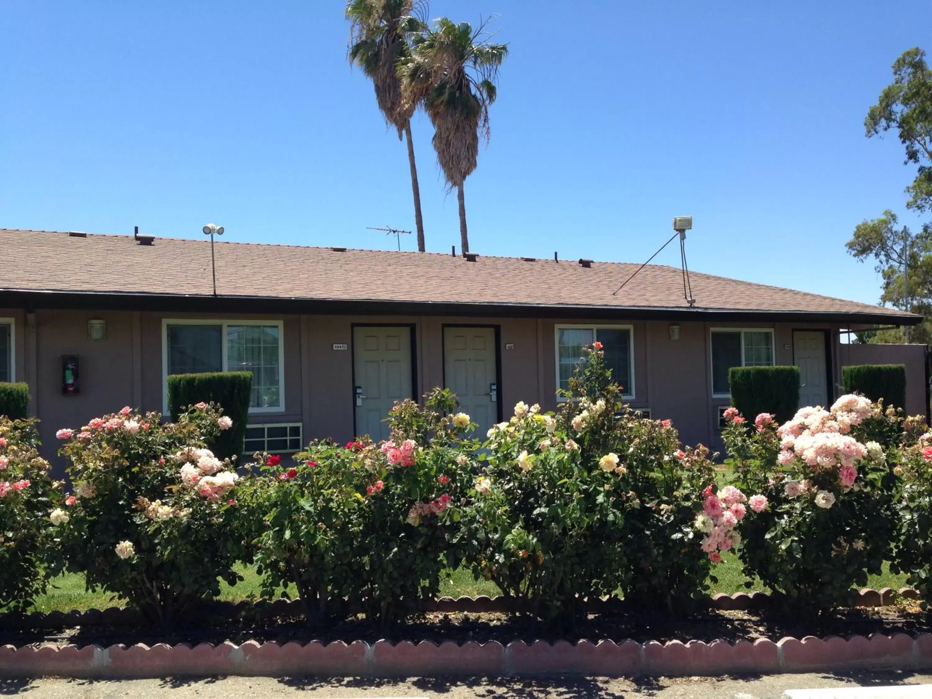 Property Building in Maple Inn and Suites Los Banos