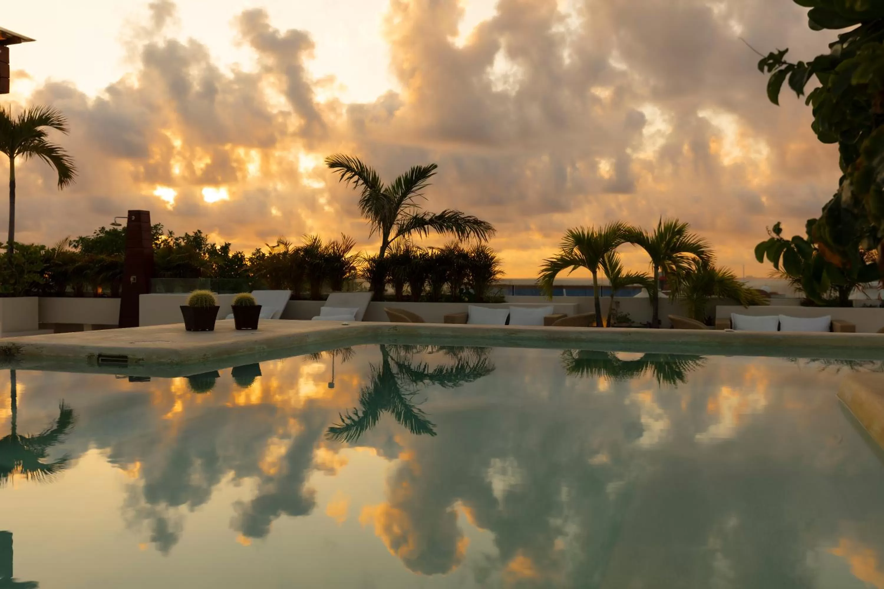Pool view in Hotel The Palm