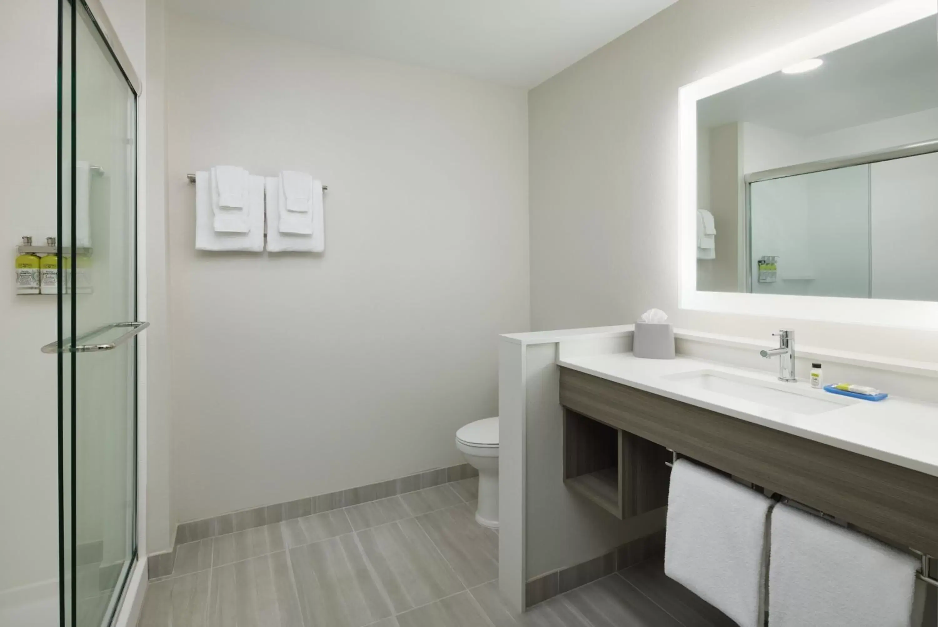 Bathroom in Holiday Inn Express & Suites Gulf Breeze - Pensacola Area, an IHG Hotel