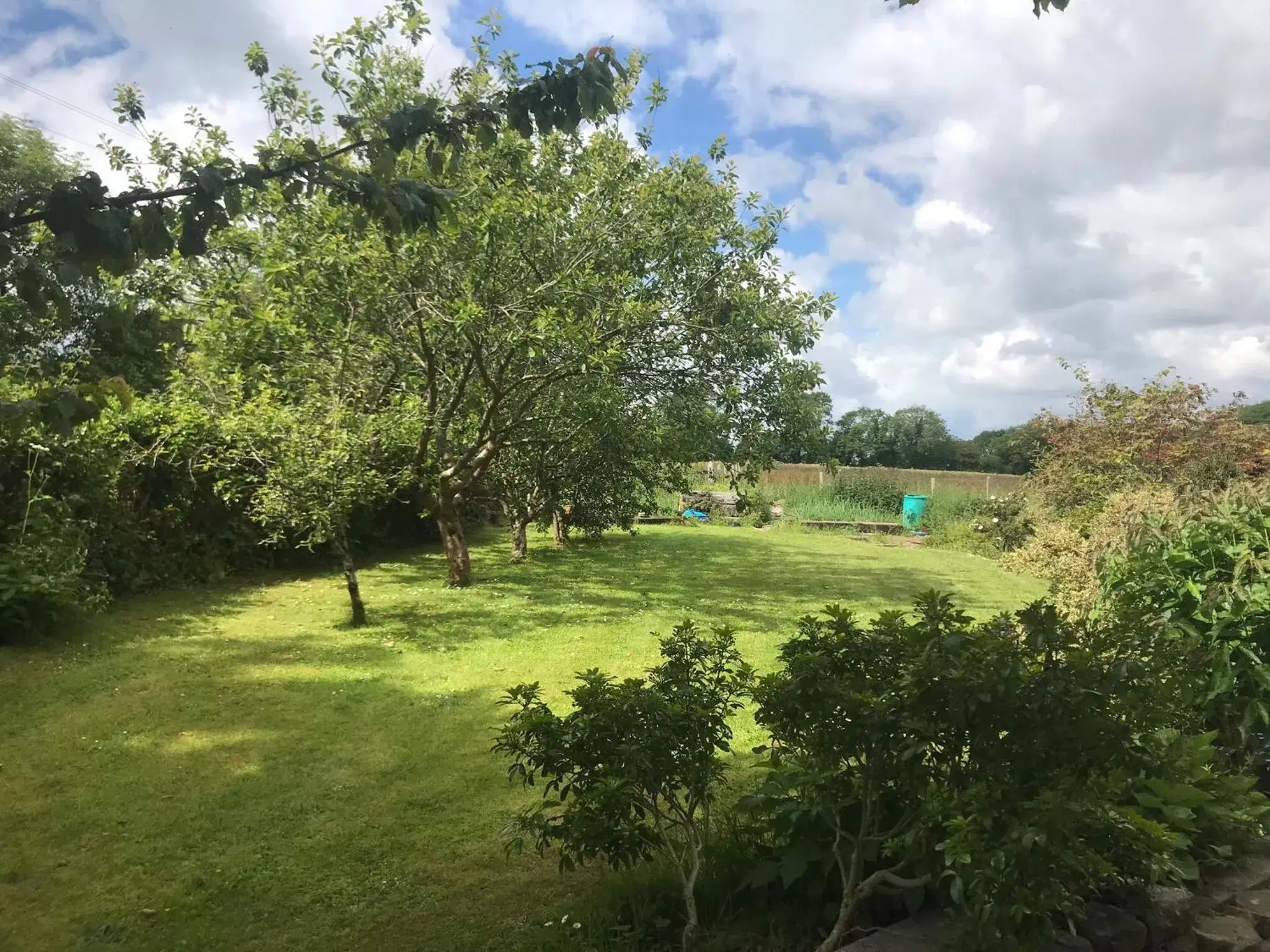 Garden in Tranquil Water