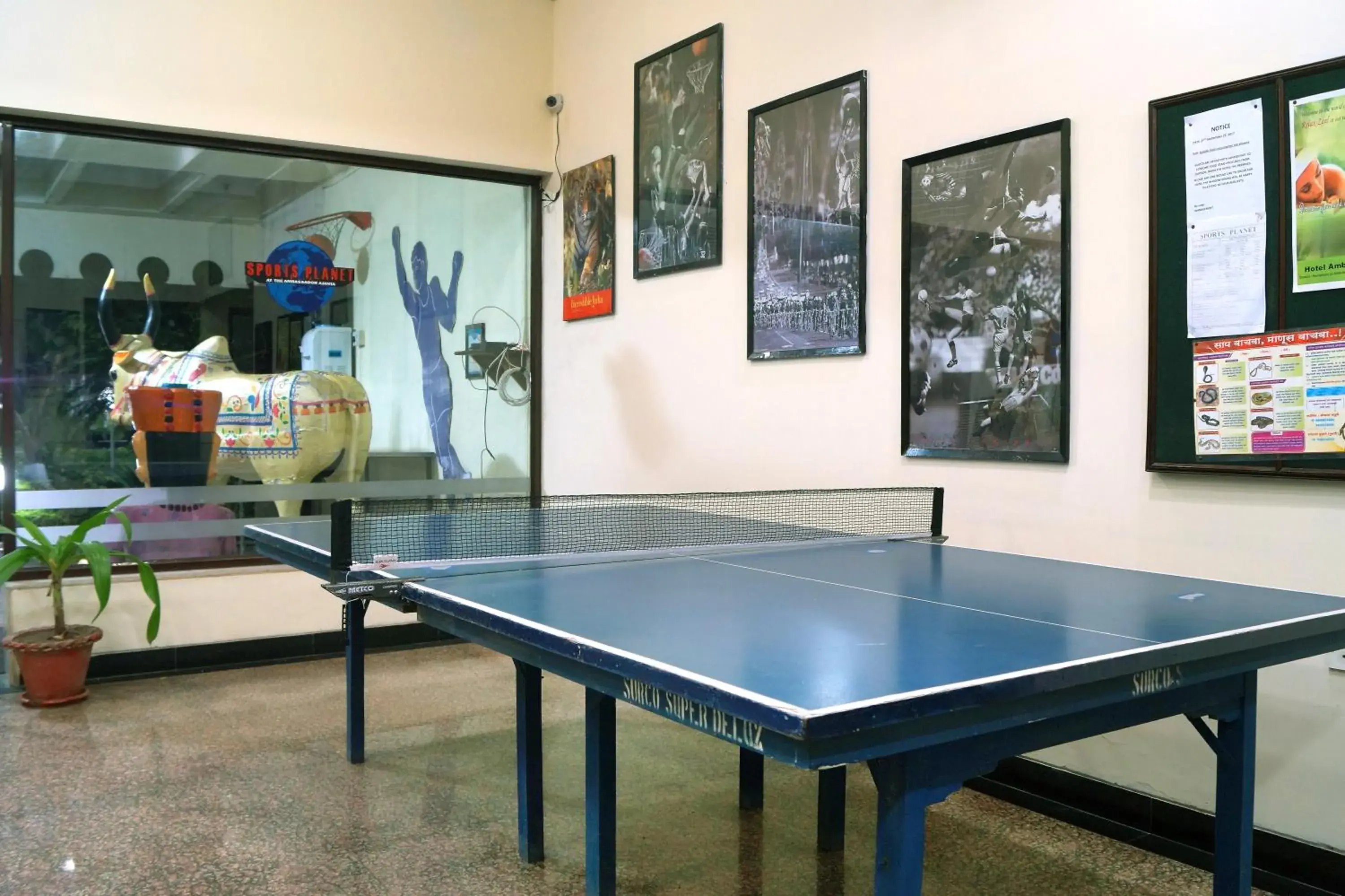 Sports, Table Tennis in The Ambassador Ajanta