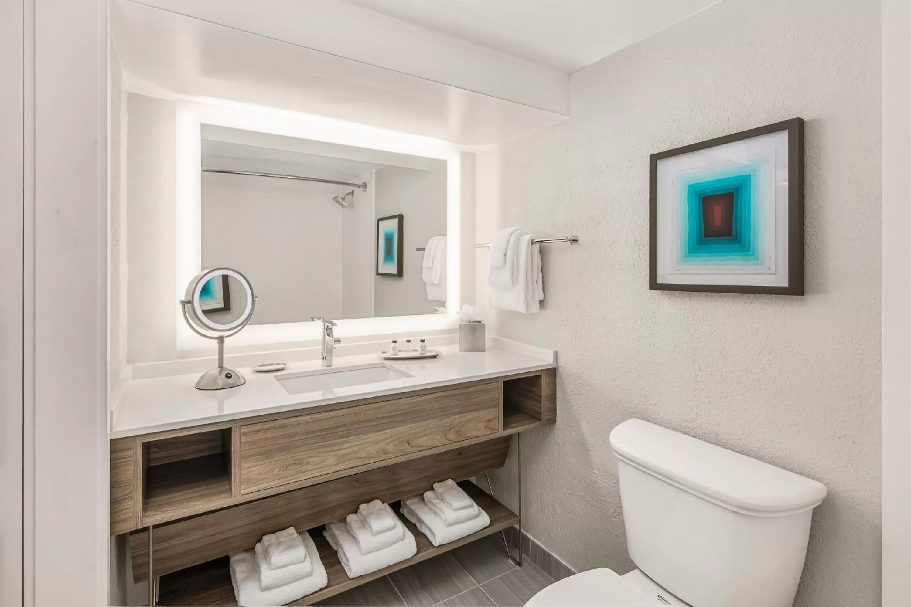 Bathroom in Crowne Plaza Orlando - Lake Buena Vista, an IHG Hotel