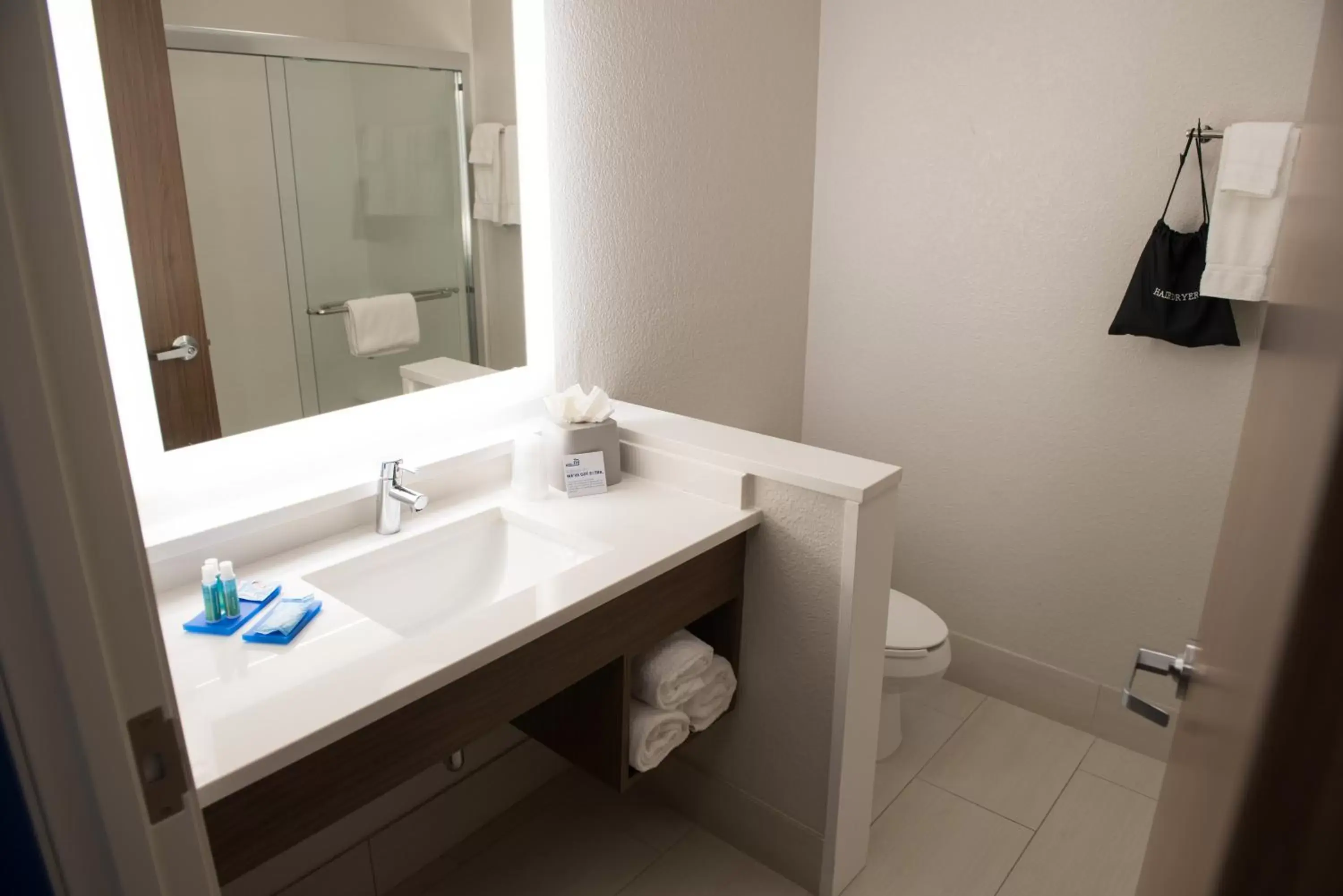 Bathroom in Holiday Inn Express & Suites - Fort Wayne North, an IHG Hotel