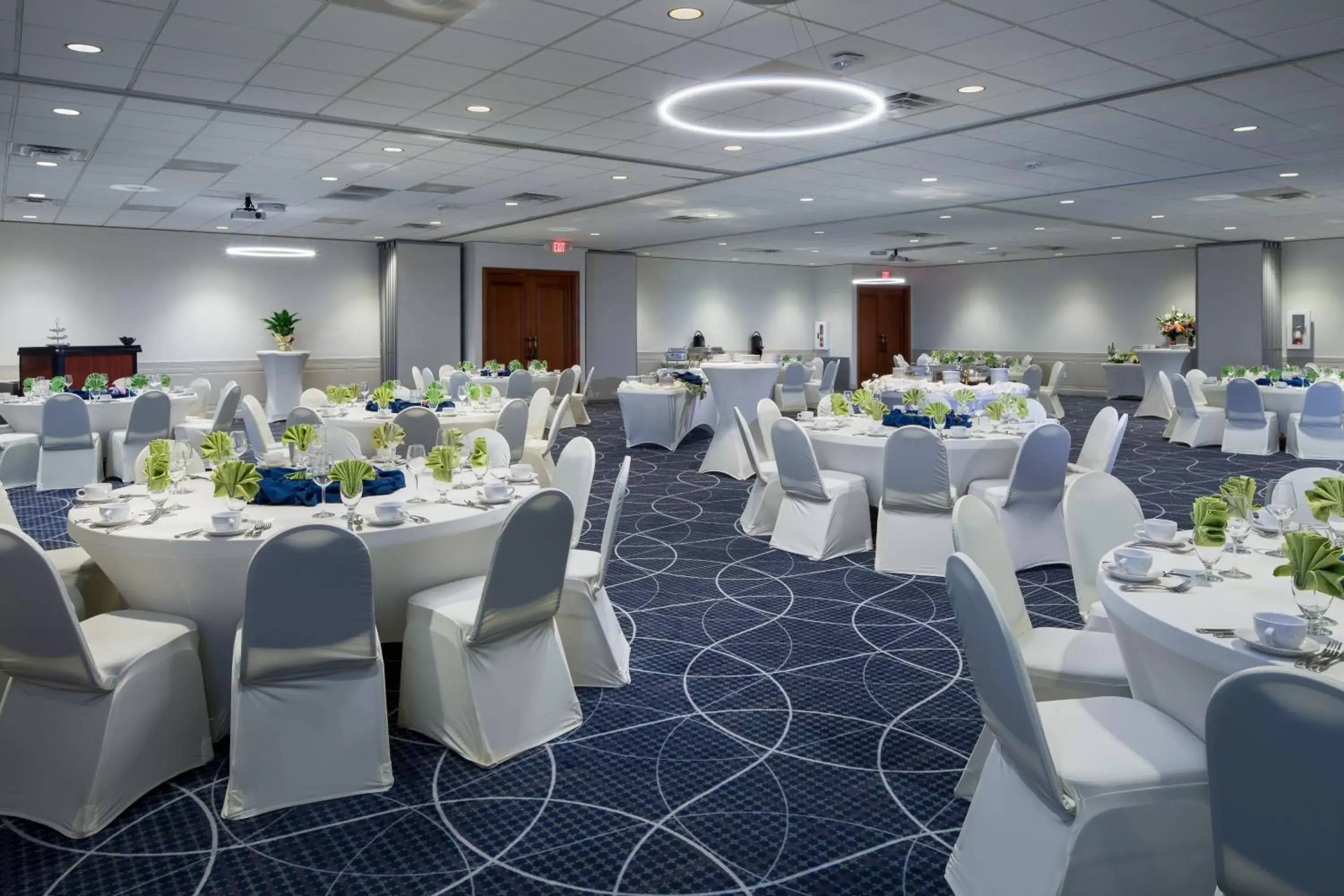 Banquet/Function facilities, Banquet Facilities in Holiday Inn and Suites Charleston West, an IHG Hotel