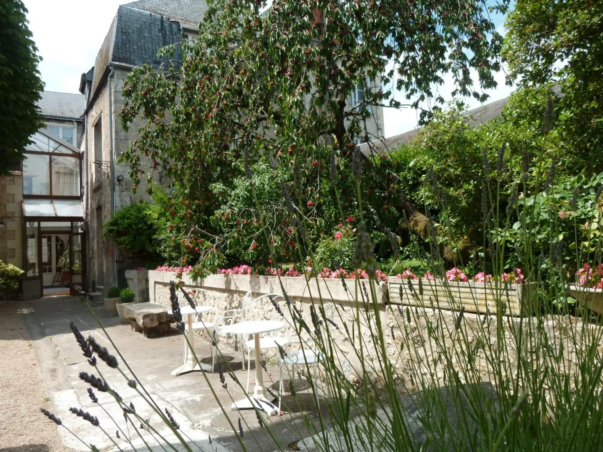 Patio in Hôtel Grand Monarque