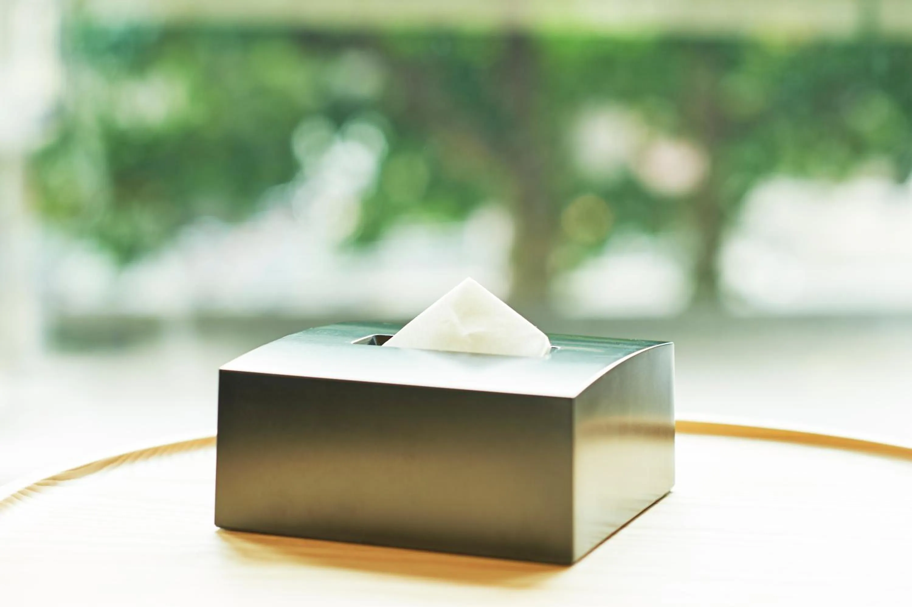 Area and facilities in Sotetsu Fresa Inn Daimon