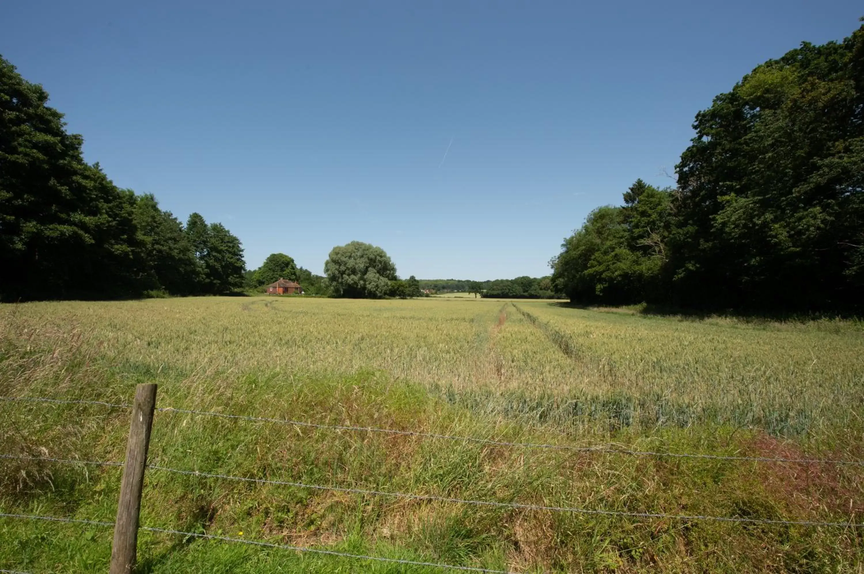 Natural landscape in The Withies Inn