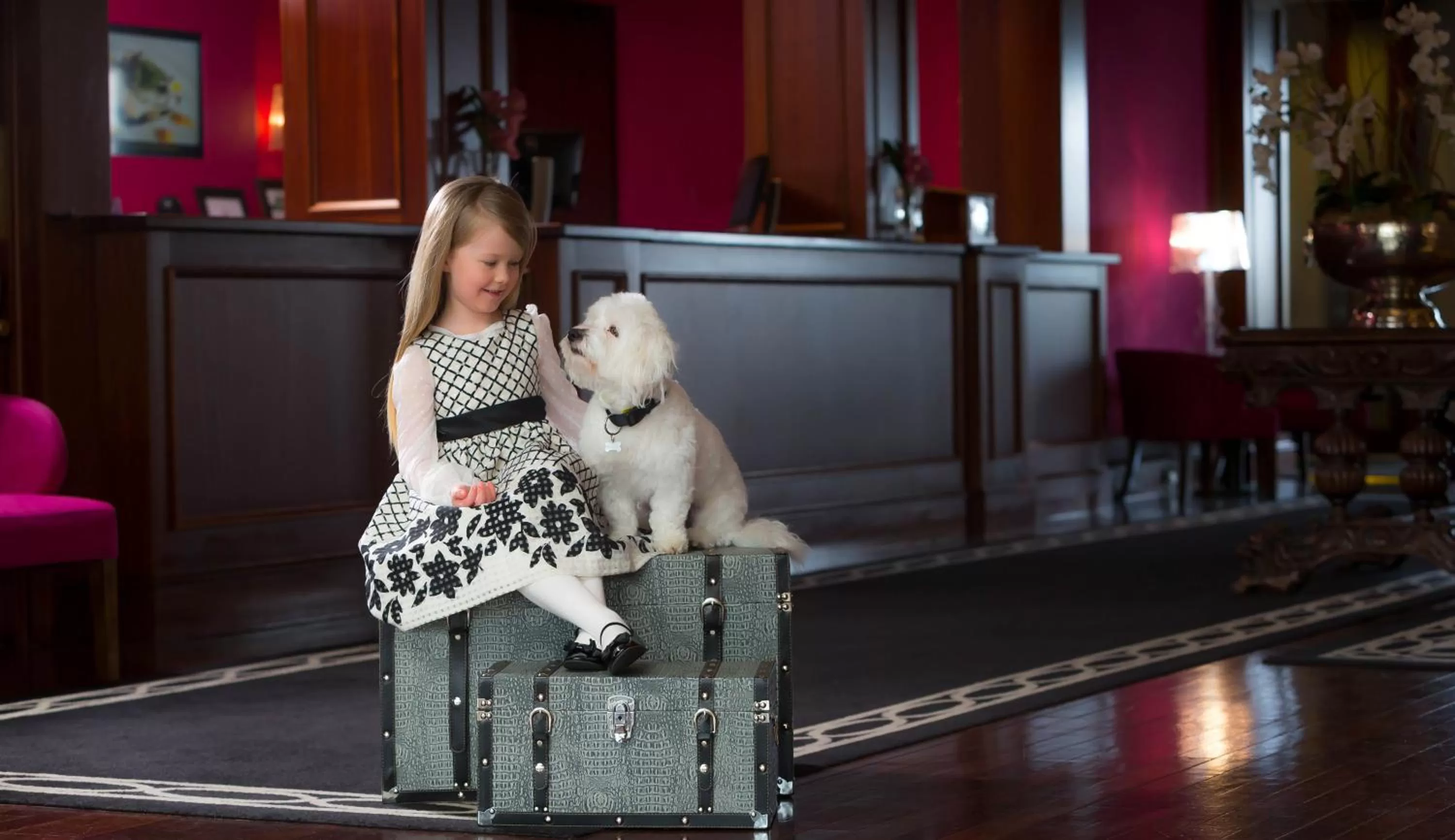 Lobby or reception in Castletroy Park Hotel