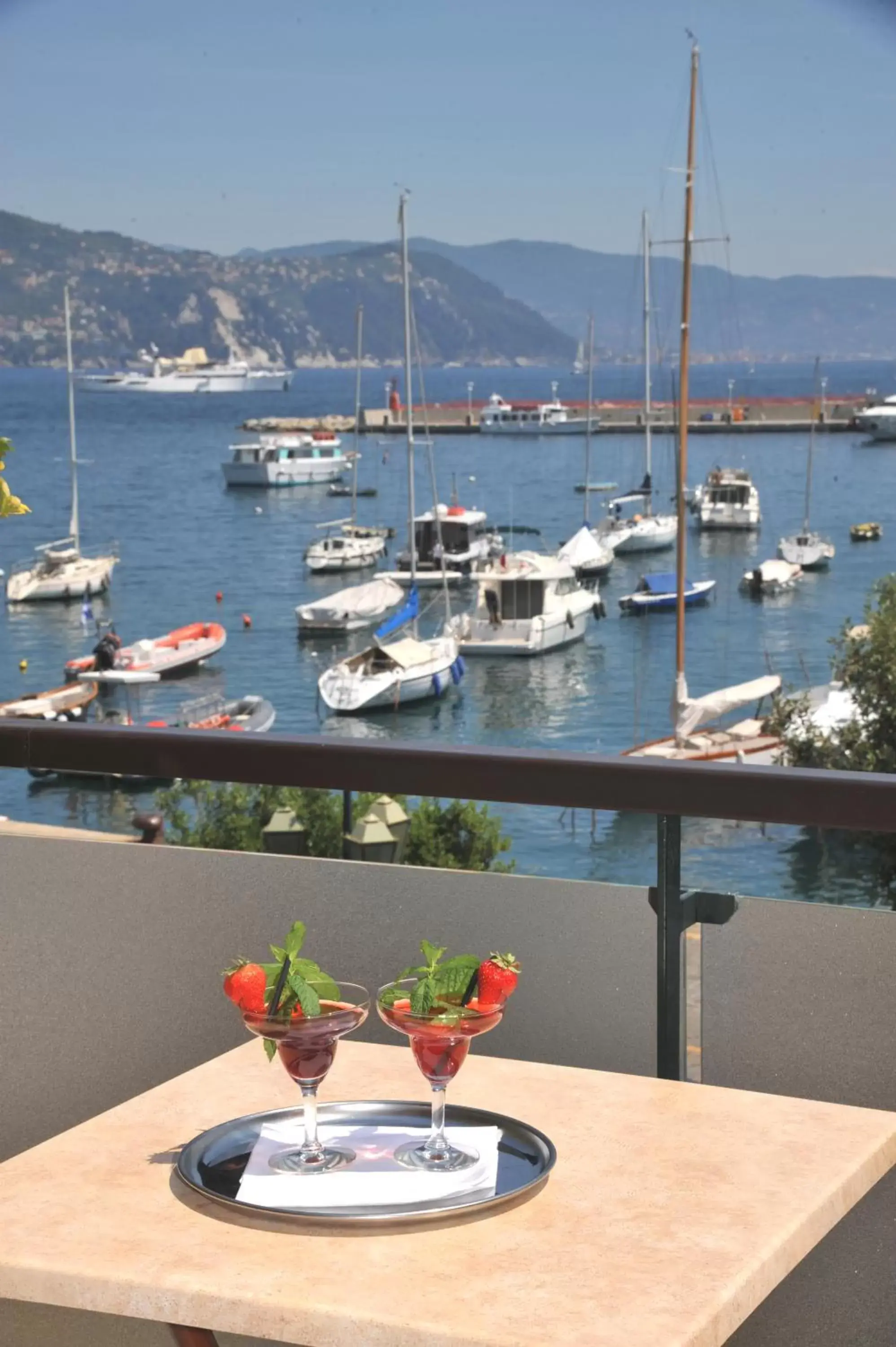 Balcony/Terrace in Hotel Laurin