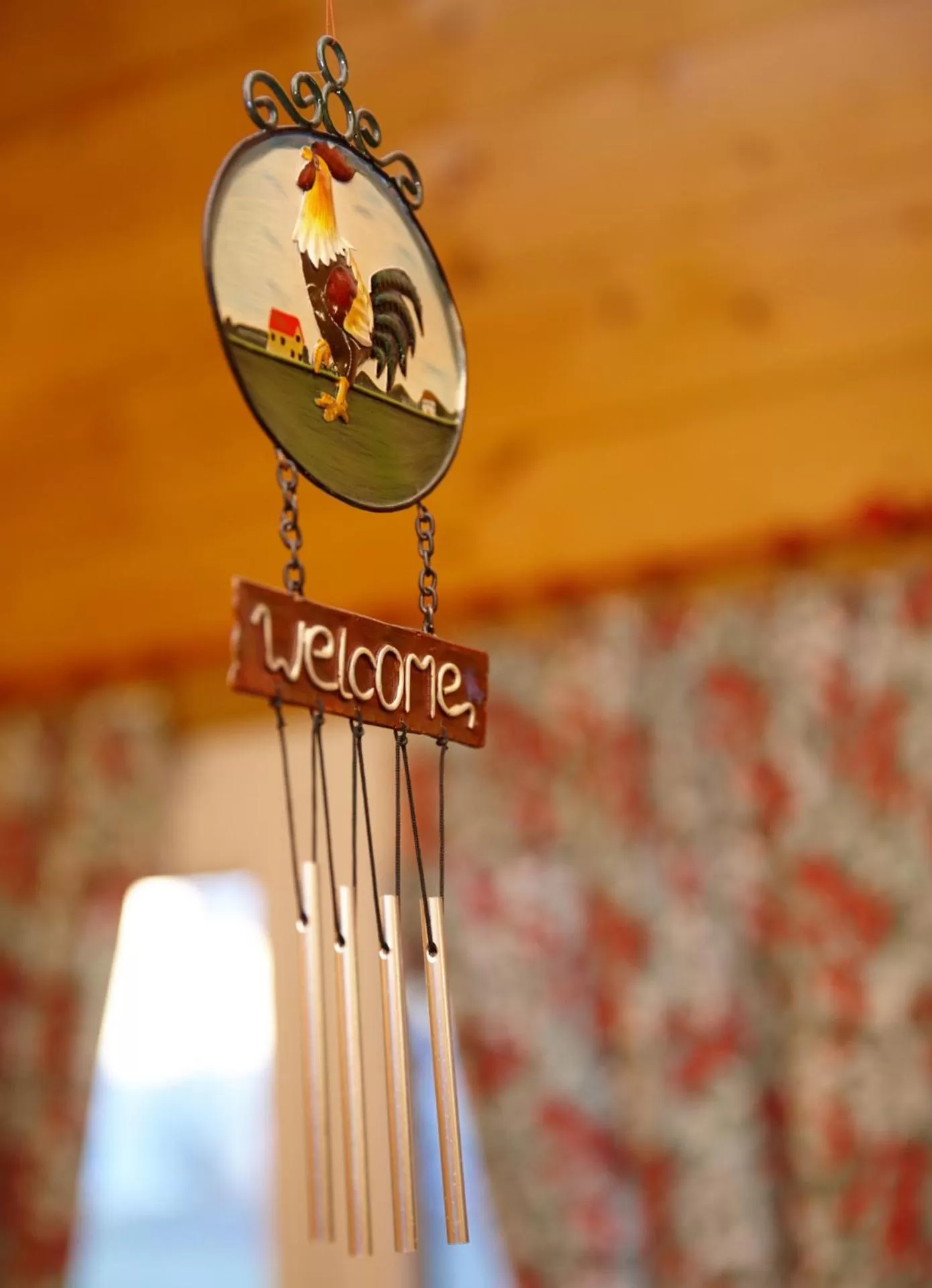 Property logo or sign in piccola baita