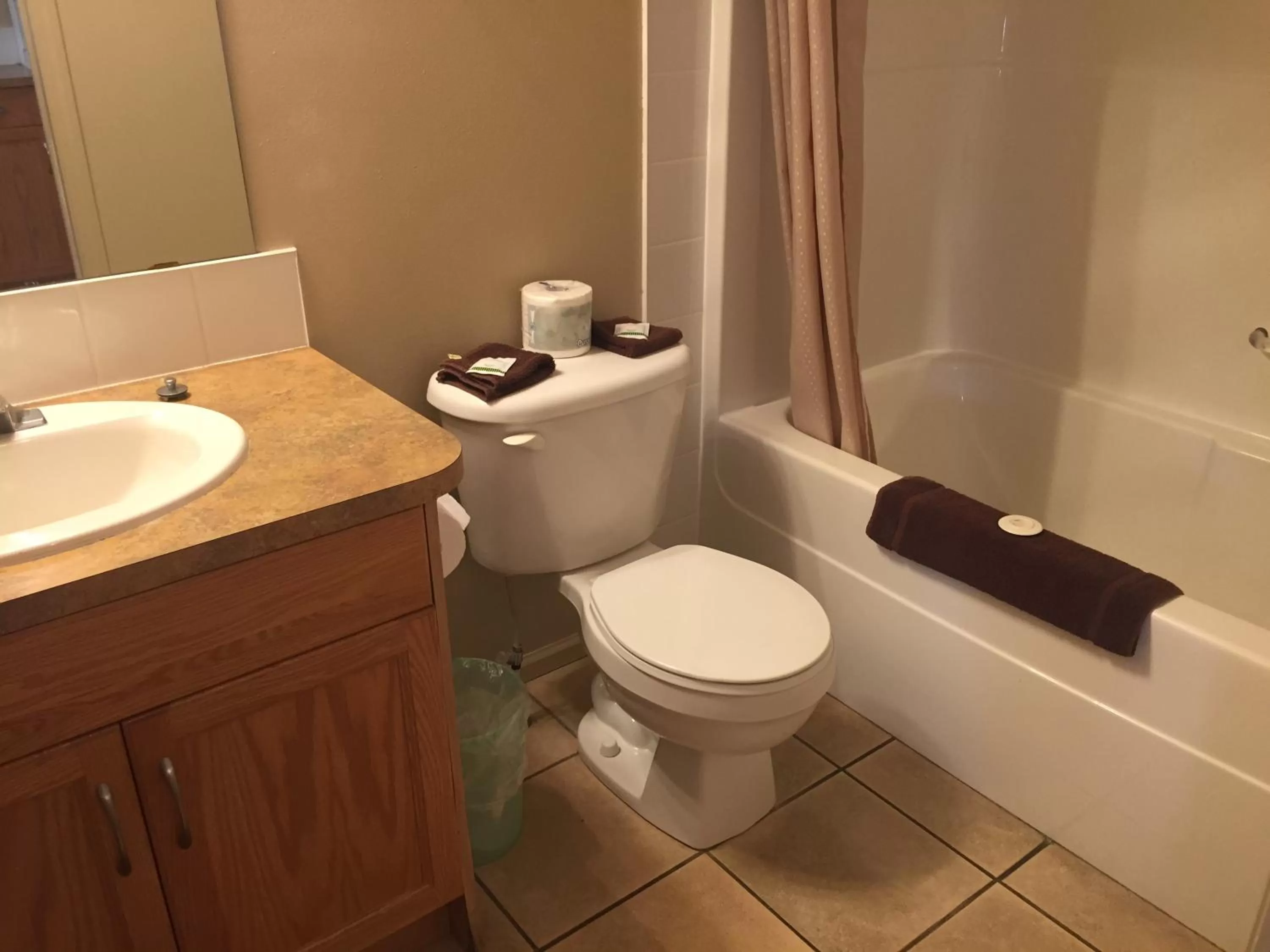 Toilet in Avalon Inn