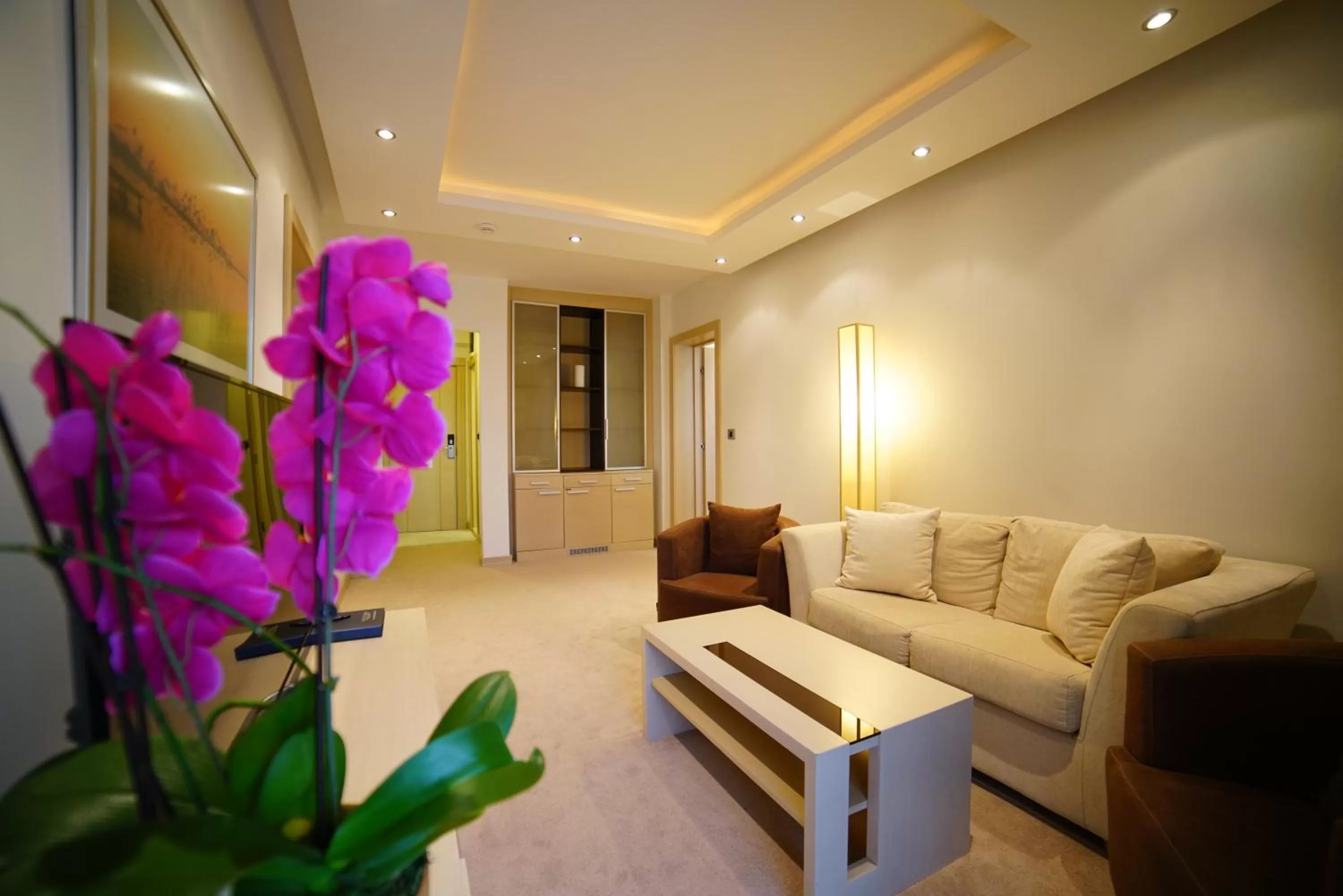 Living room in Hotel Vojvodina