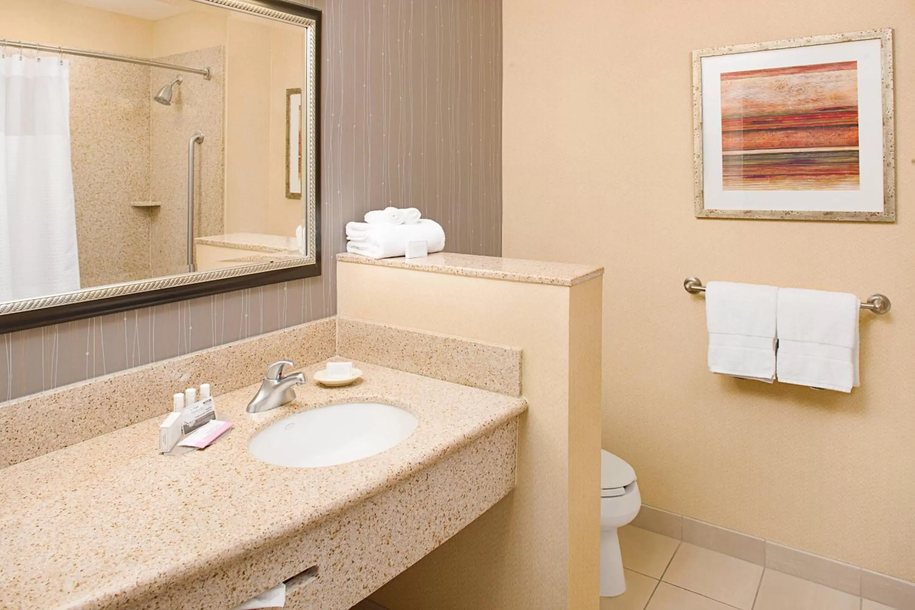 Bathroom in Courtyard by Marriott Paso Robles