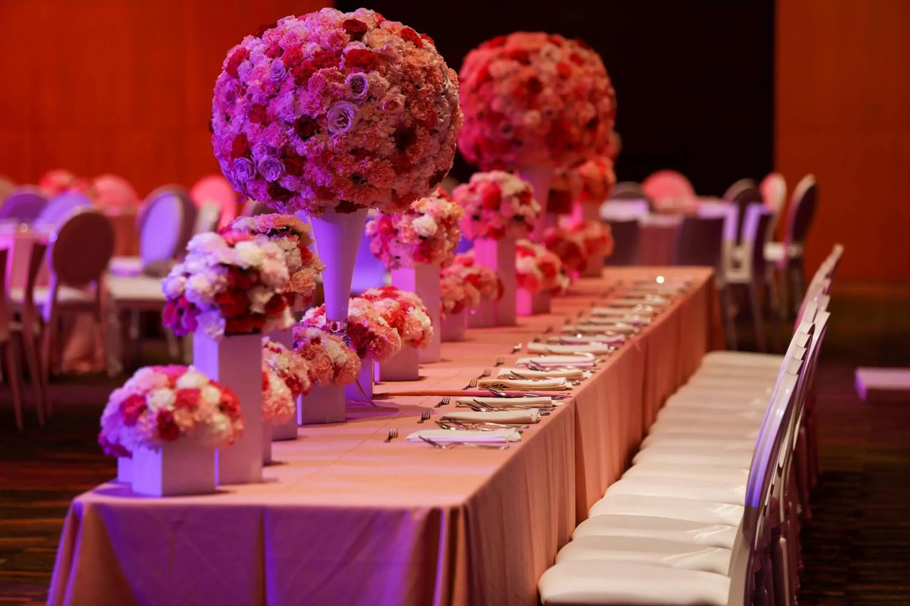 Banquet/Function facilities in Casa Maat at JW Marriott Los Cabos Beach Resort & Spa