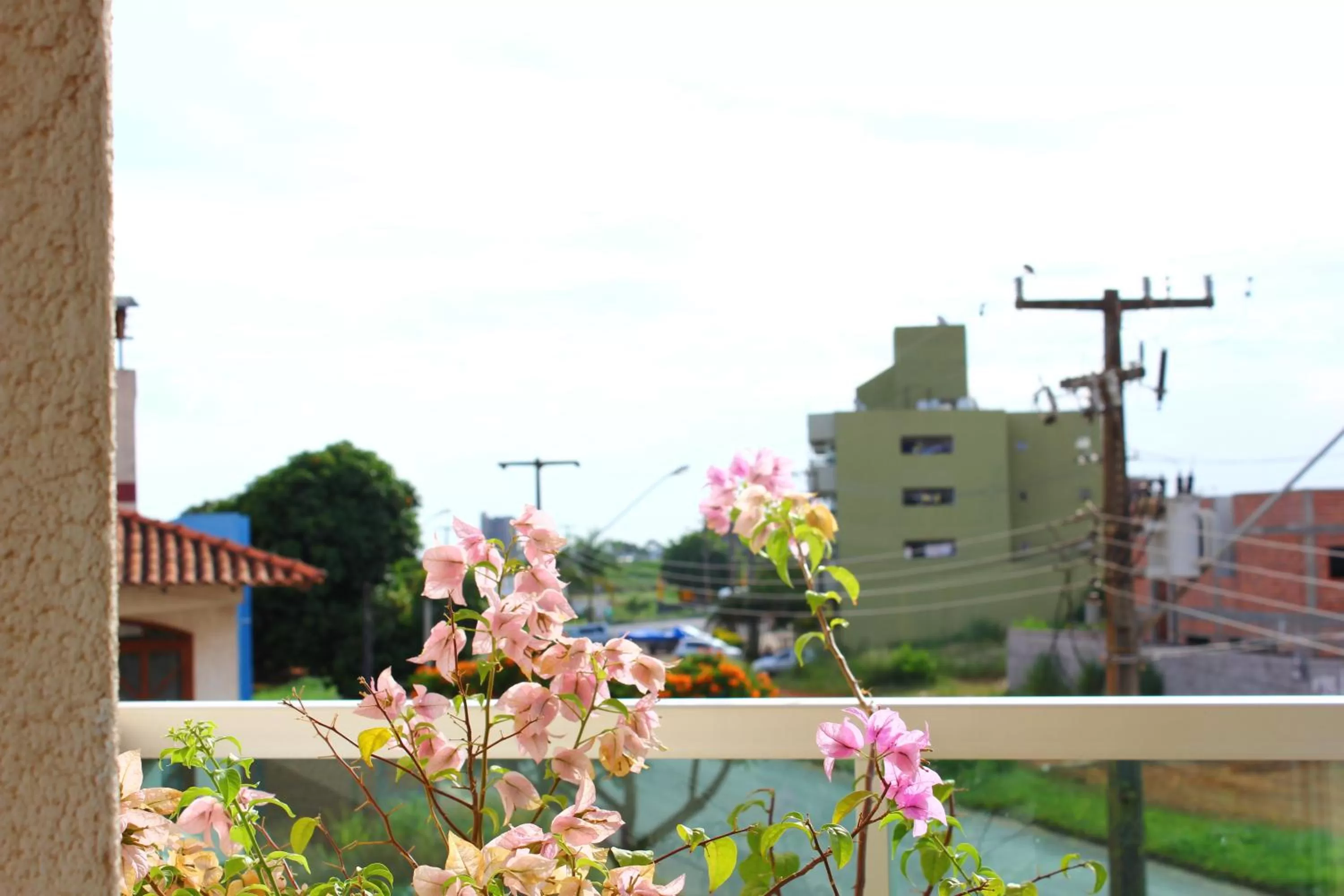 Balcony/Terrace in Hotel Villa Quati