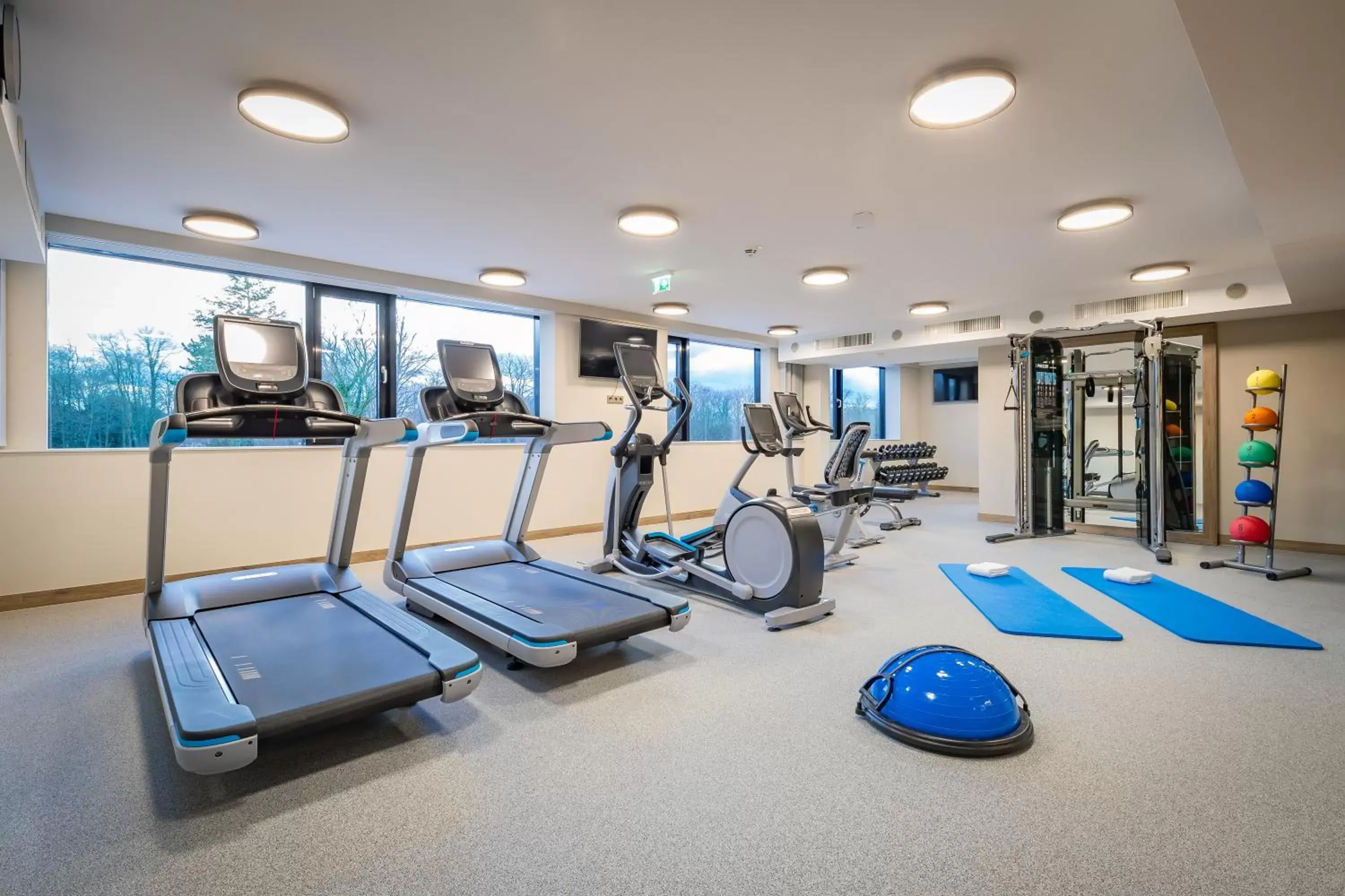 Fitness centre/facilities, Fitness Center/Facilities in Hilton Garden Inn Wiener Neustadt