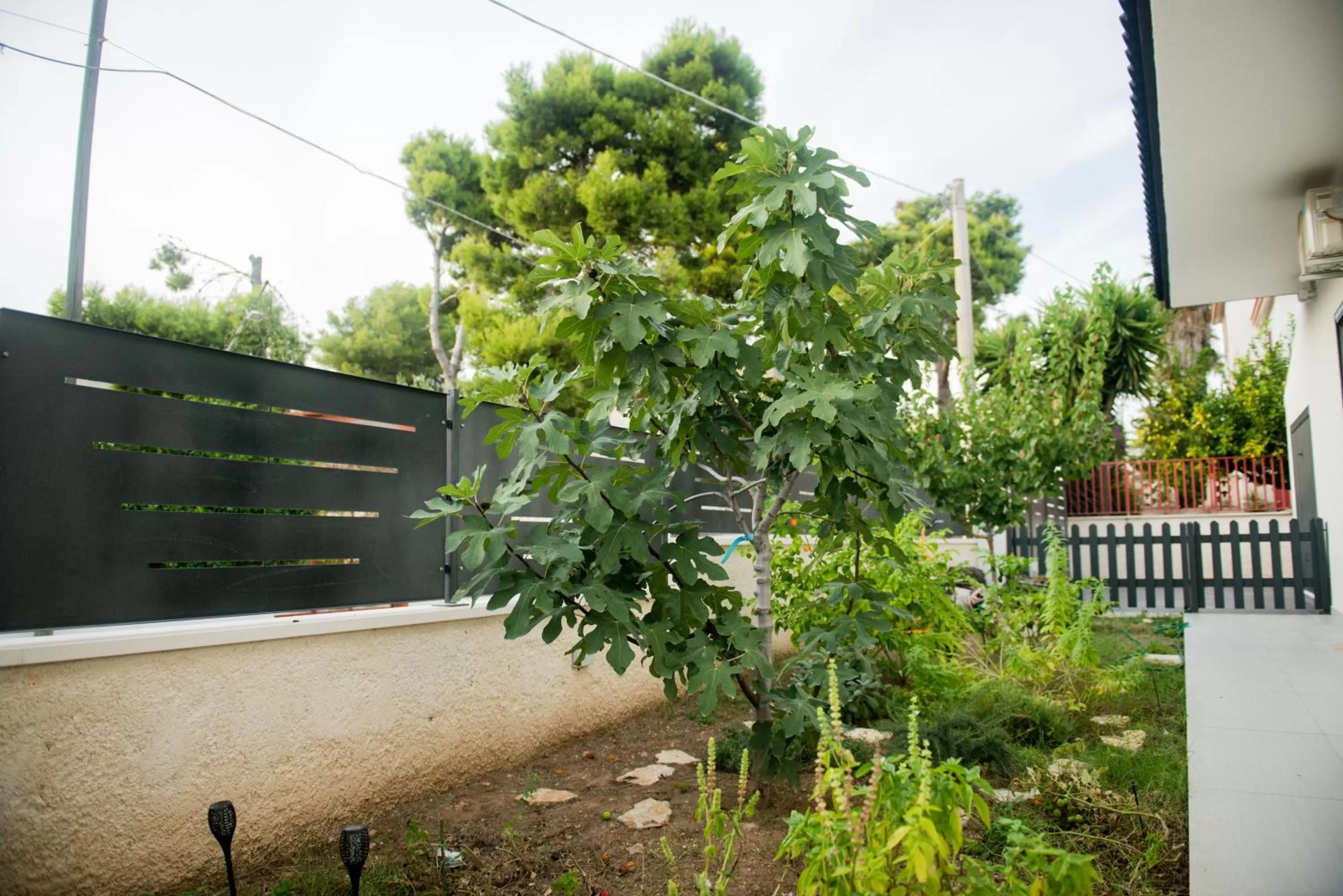 Garden, Property Building in Divina Perla