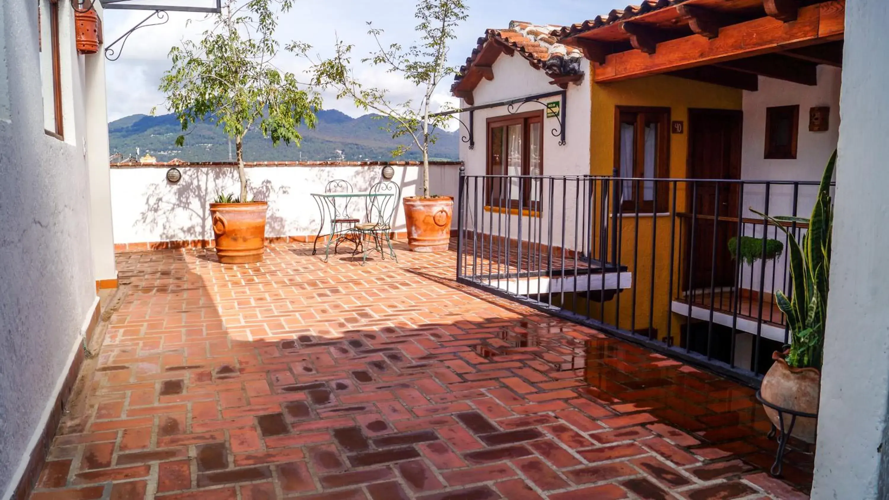 Balcony/Terrace in Hotel Casa Margarita