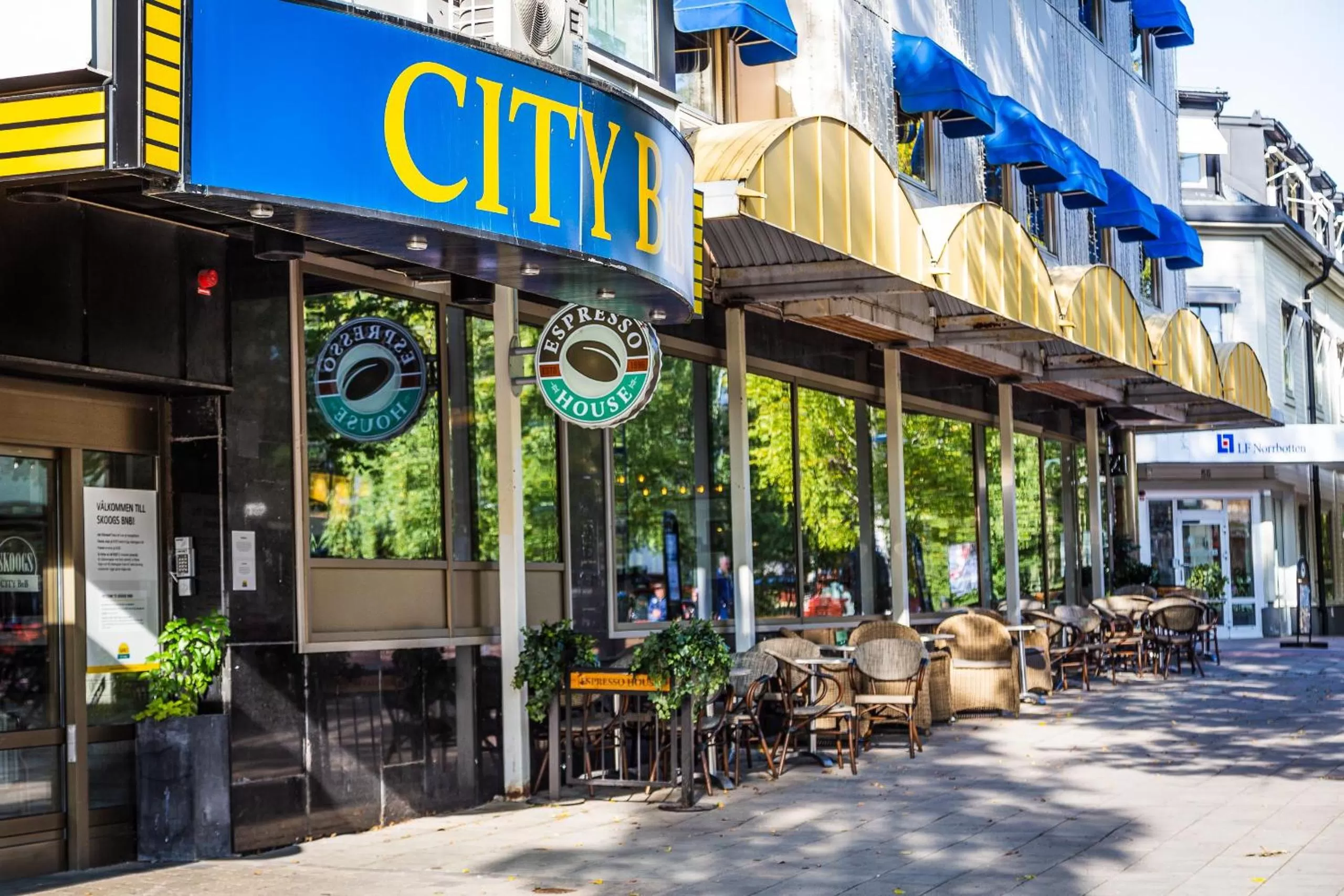 Property building in Skoogs City BnB