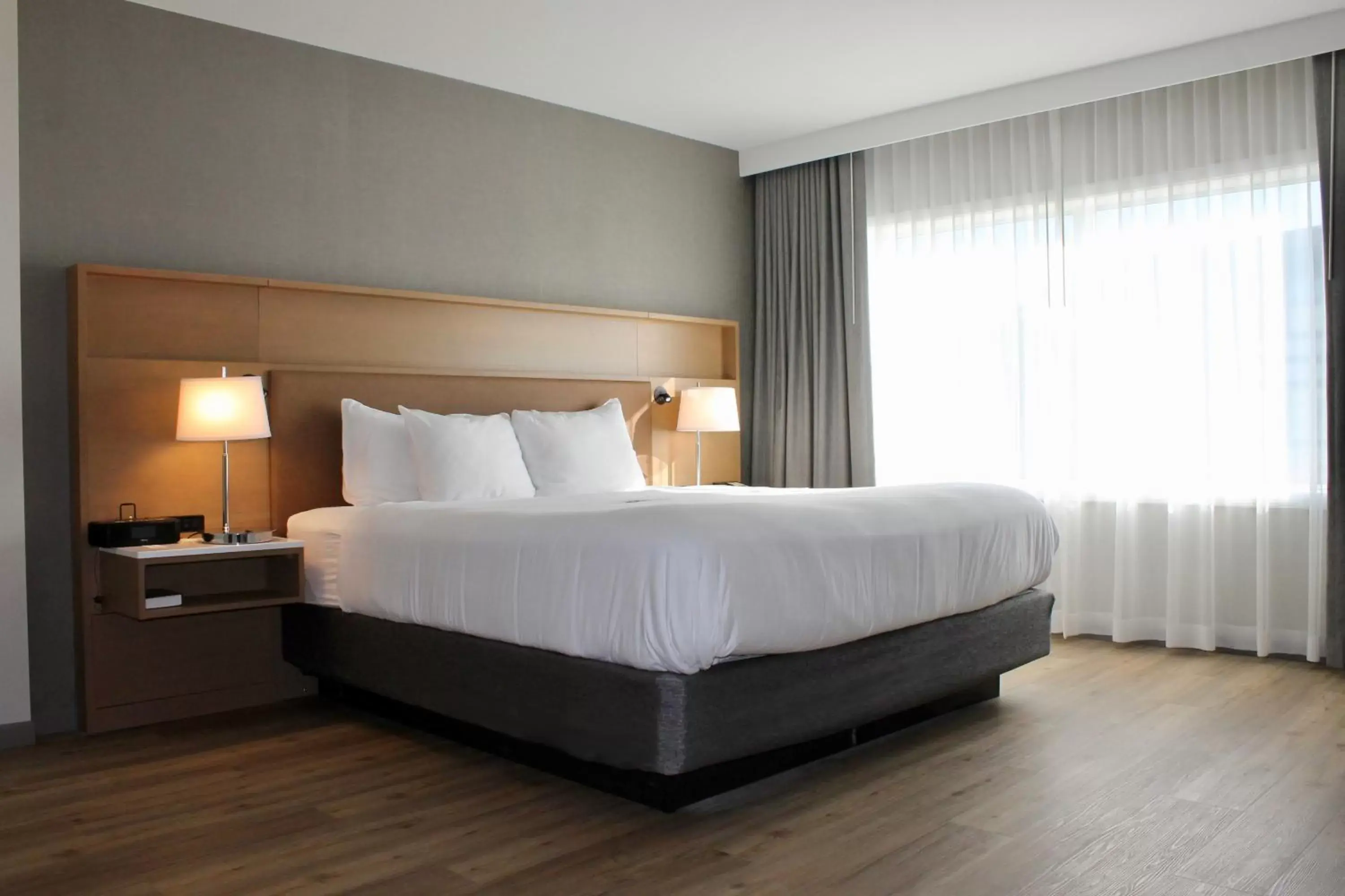 Bathroom, Bed in Radisson Hotel & Conference Center Green Bay