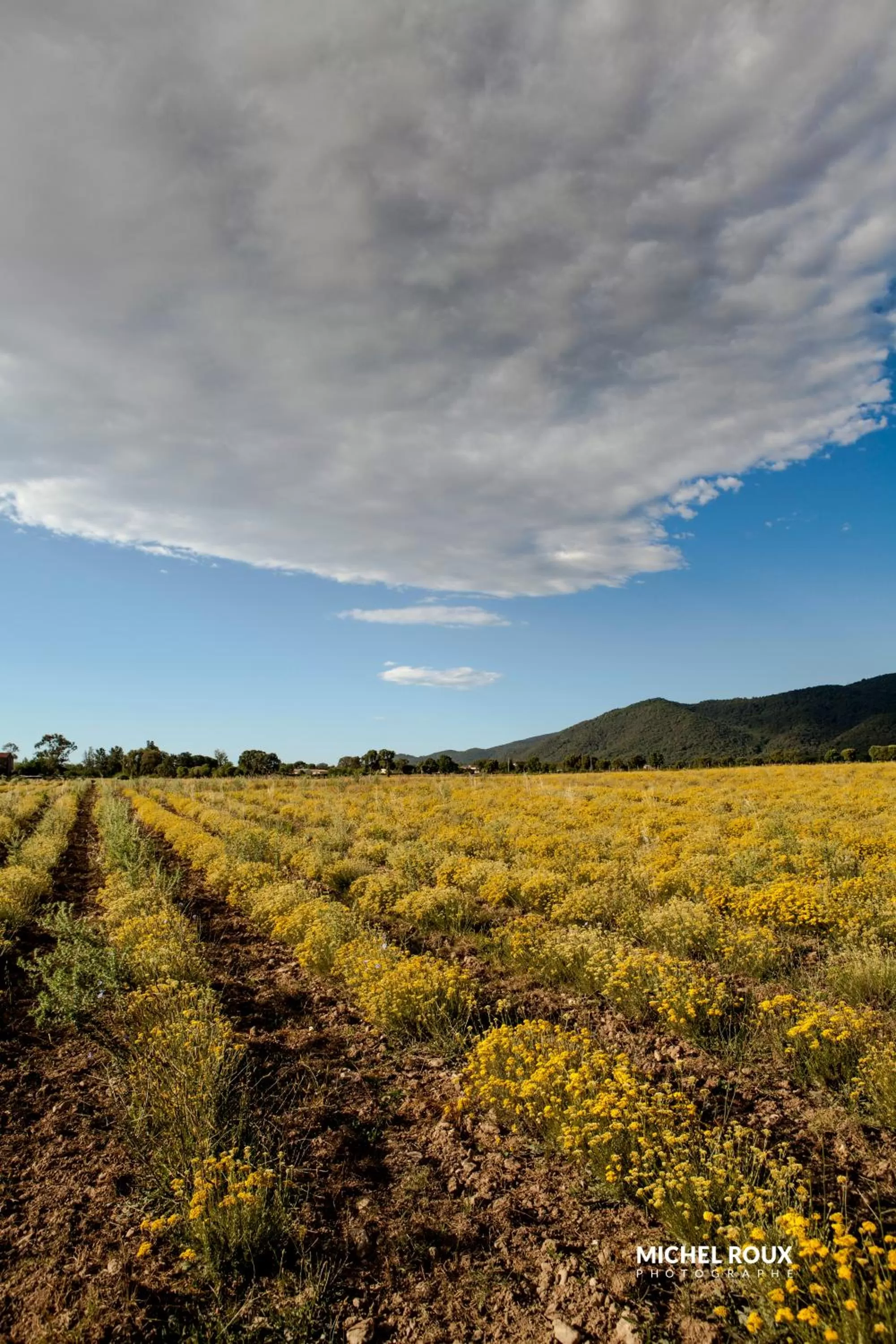 Hôtel A casa di Maria Cicilia