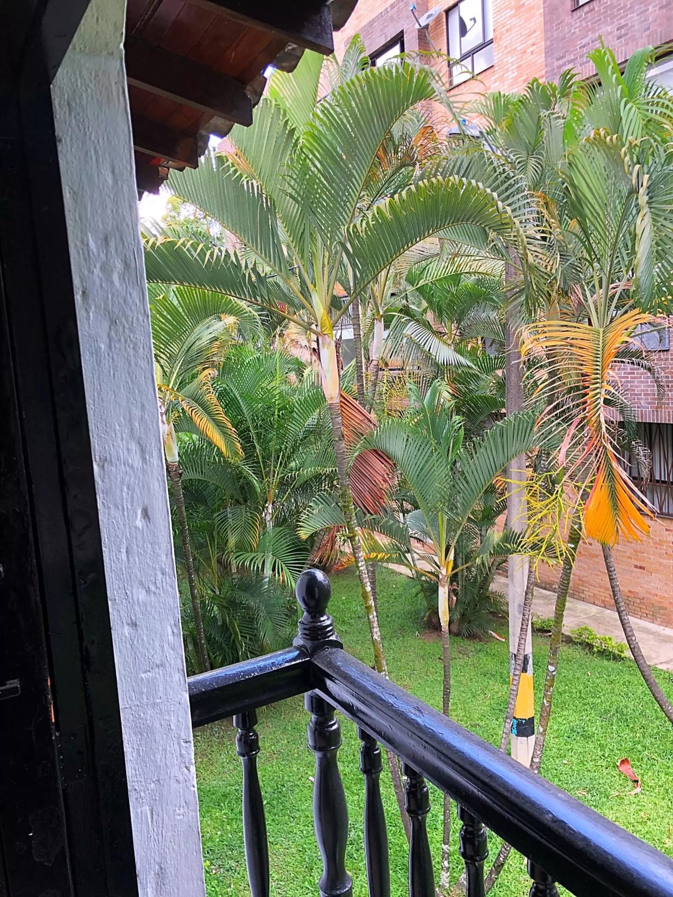 View (from property/room) in Casa Rosales