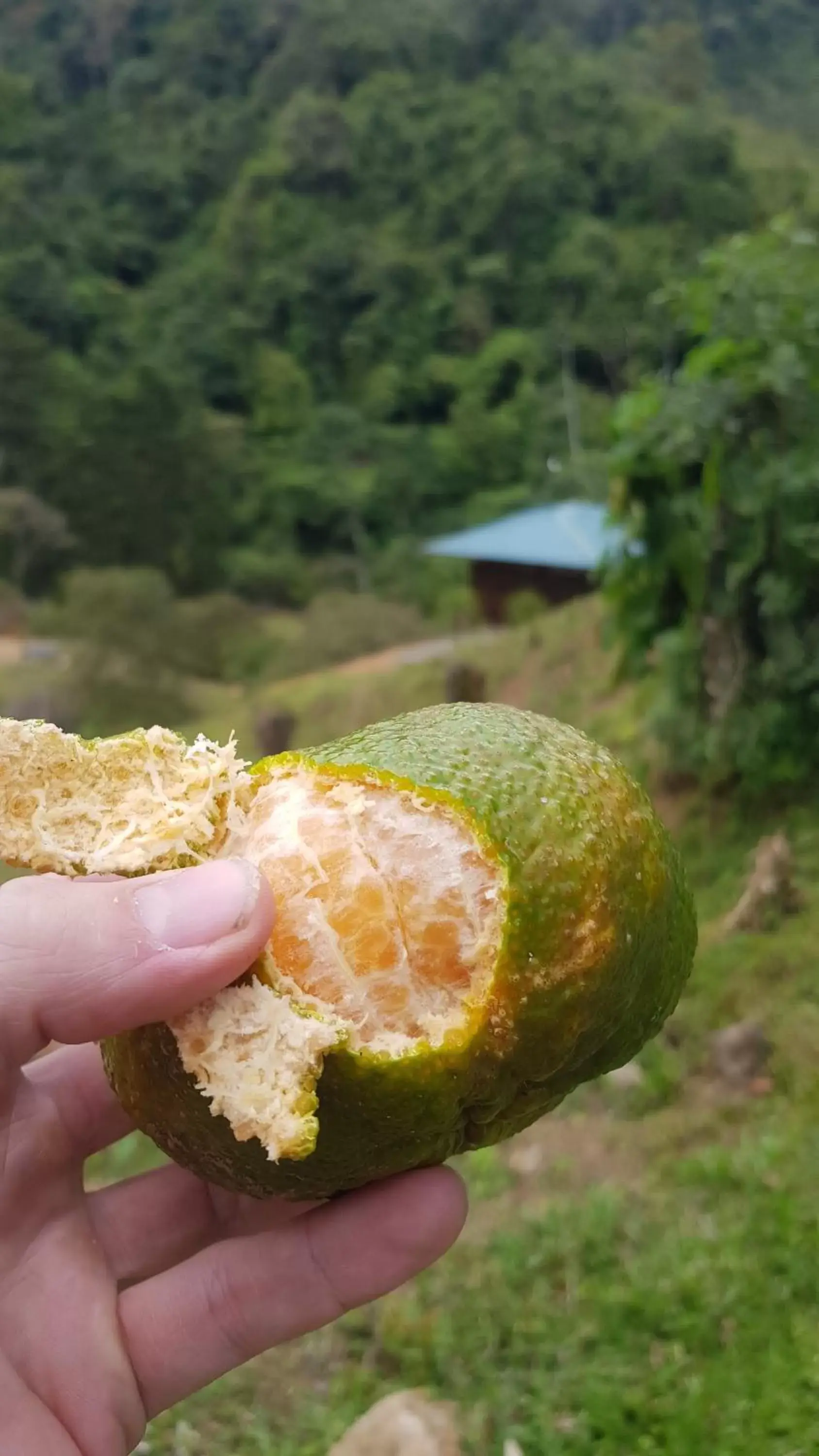 Breakfast in Hotel Rivel - Adventure & Nature Retreat