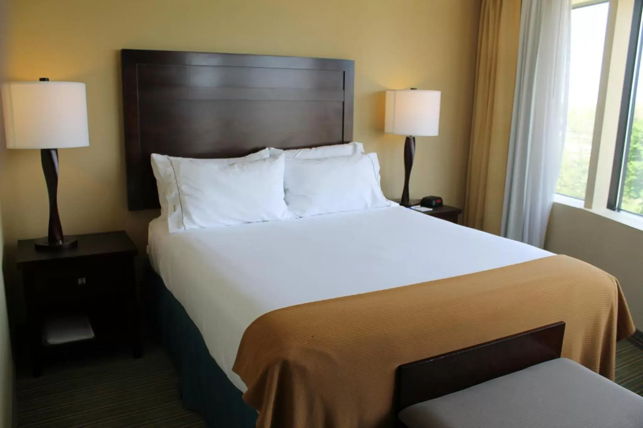 Photo of the whole room, Bed in Holiday Inn Express- Waterloo/Cedar Falls, an IHG Hotel