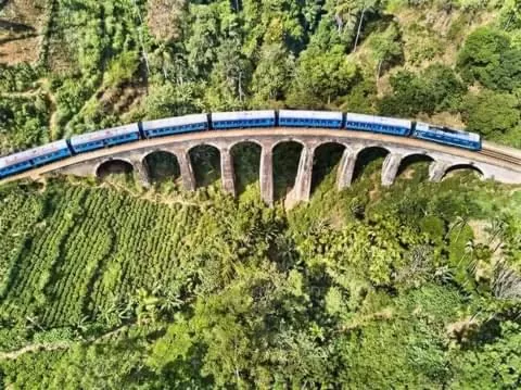 Ella Lucky Panoramic