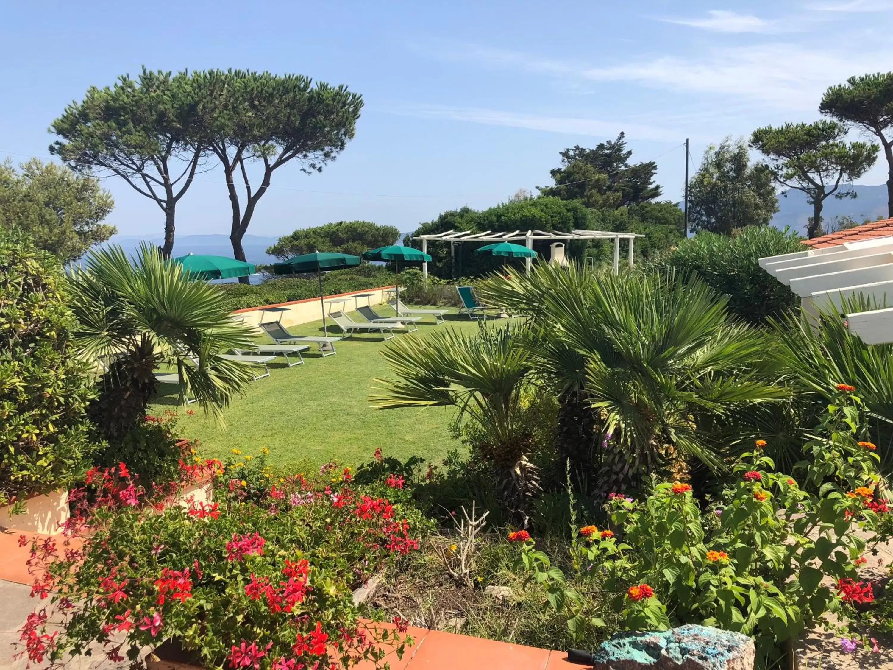 Garden, Pool View in Belvedere Residenza Mediterranea