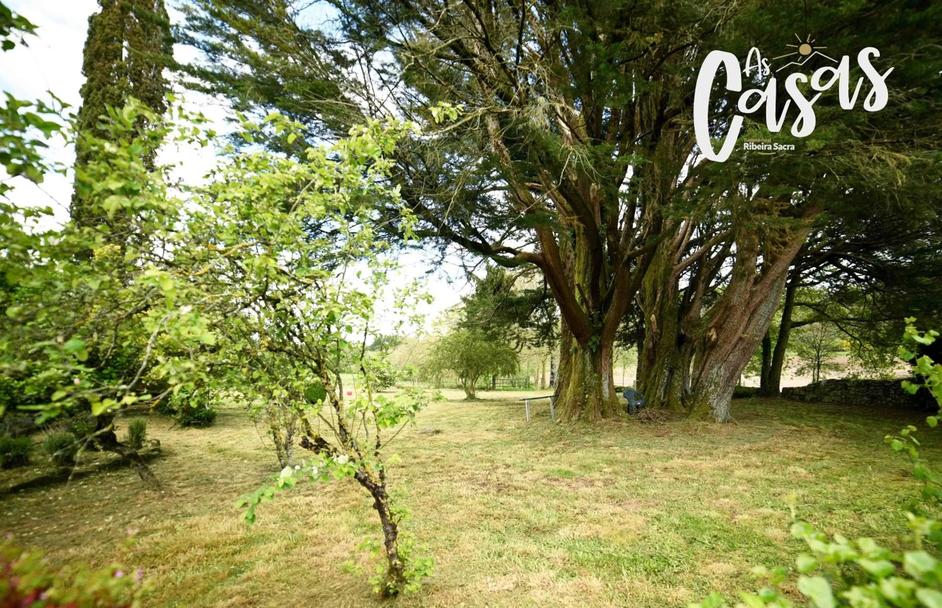 Garden in As Casas Ribeira Sacra