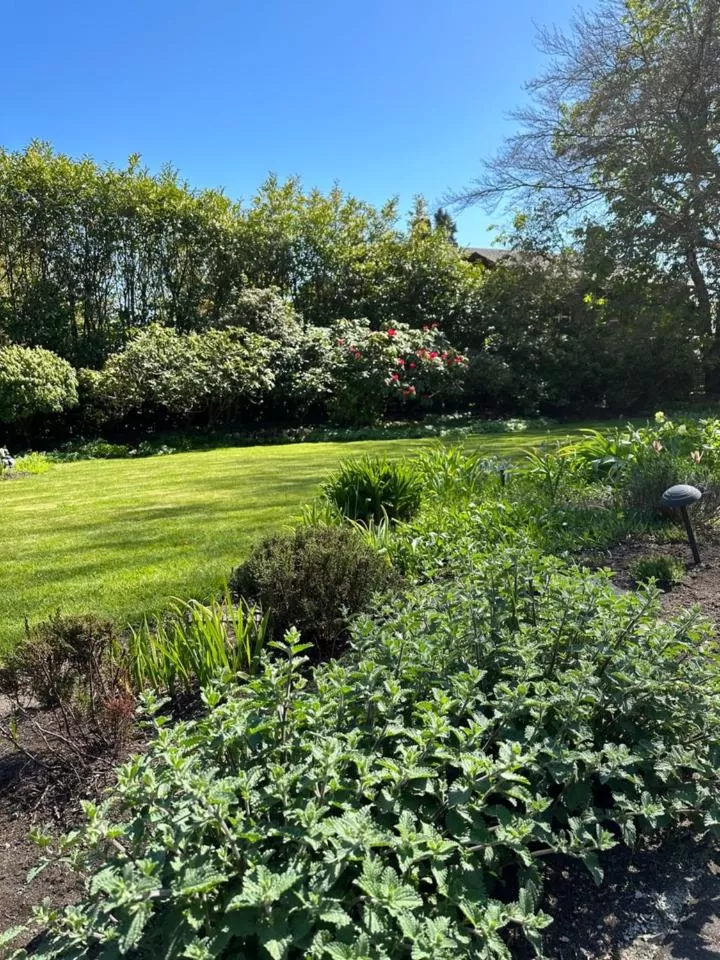 Garden in Prior Castle Inn