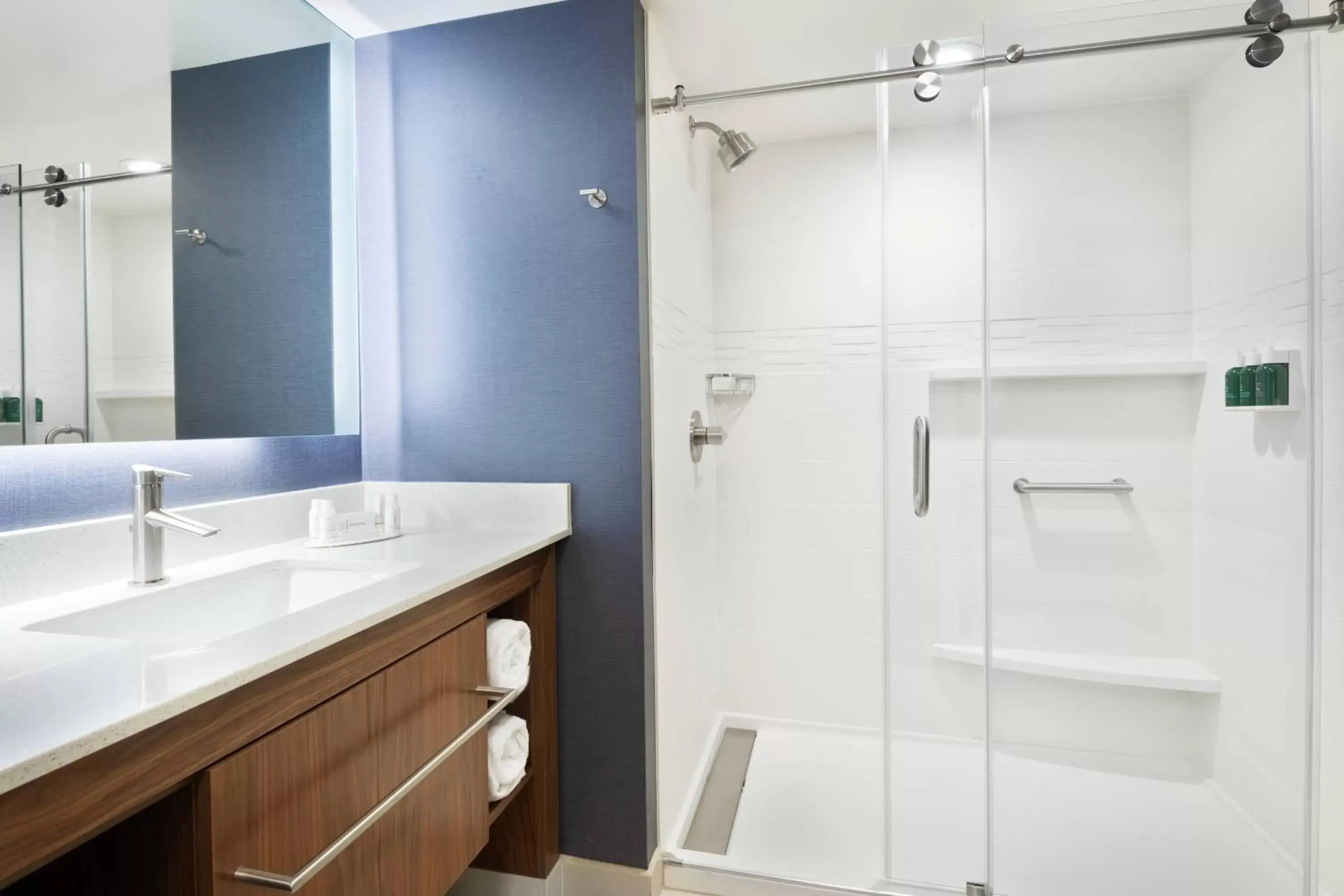 Bathroom in Residence Inn by Marriott Decatur Emory Area