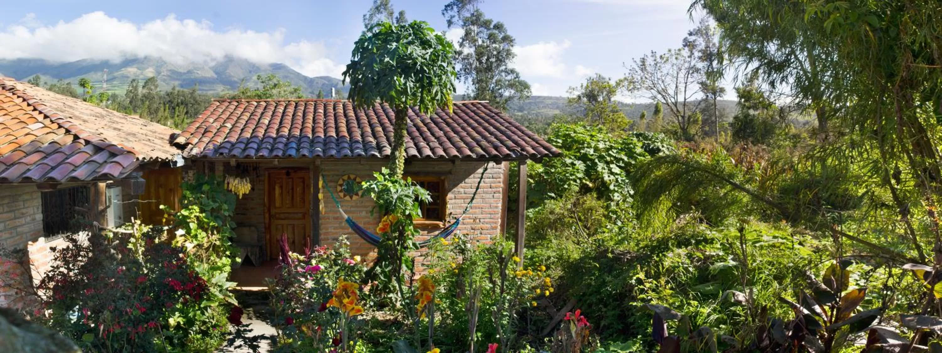 Garden in Kallpa Wasi