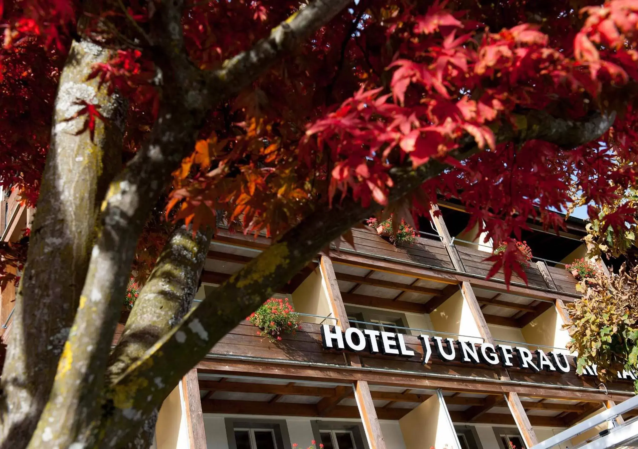 Facade/entrance in Jungfrau Hotel
