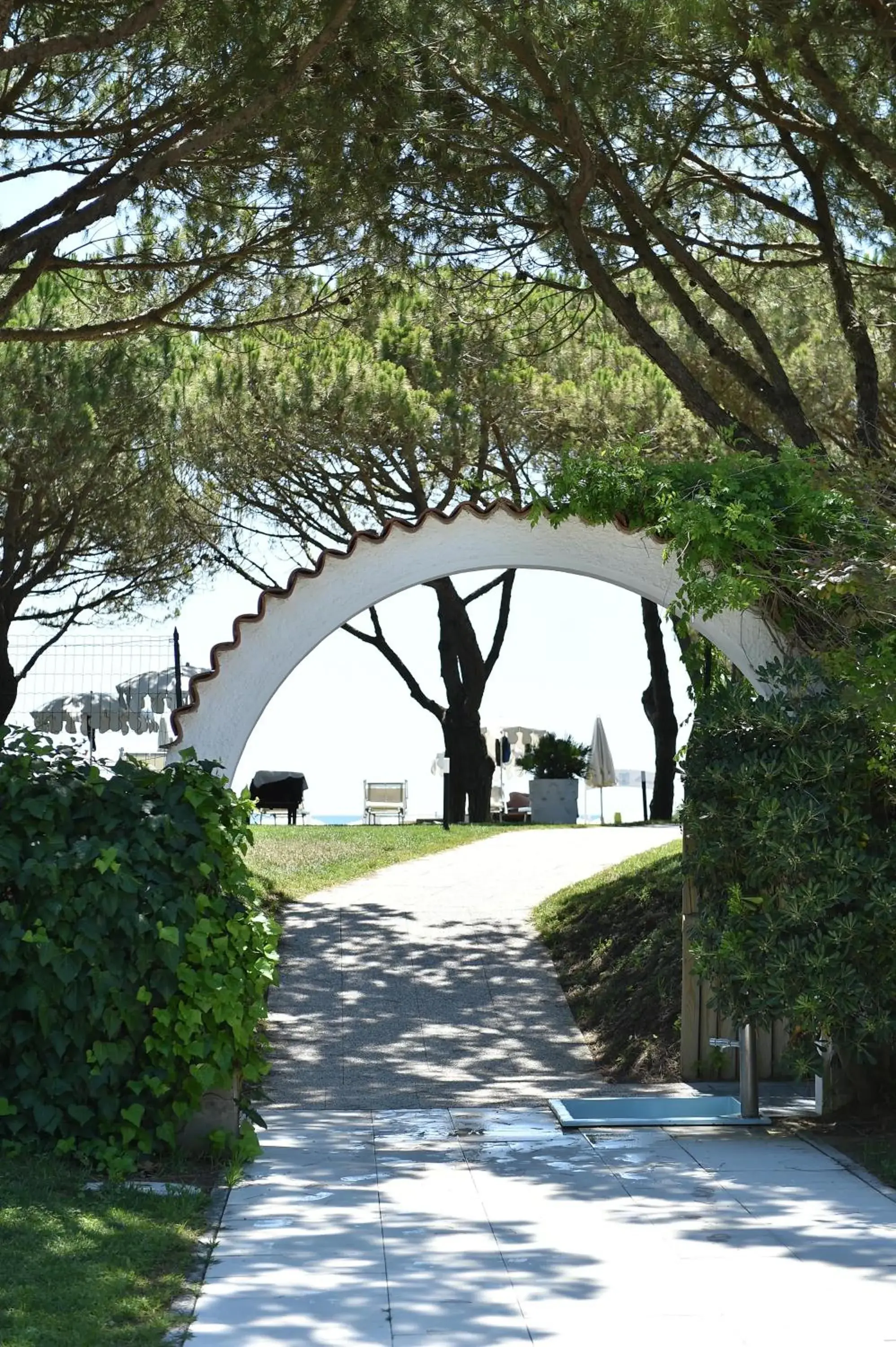 Garden in Hotel Maracaibo