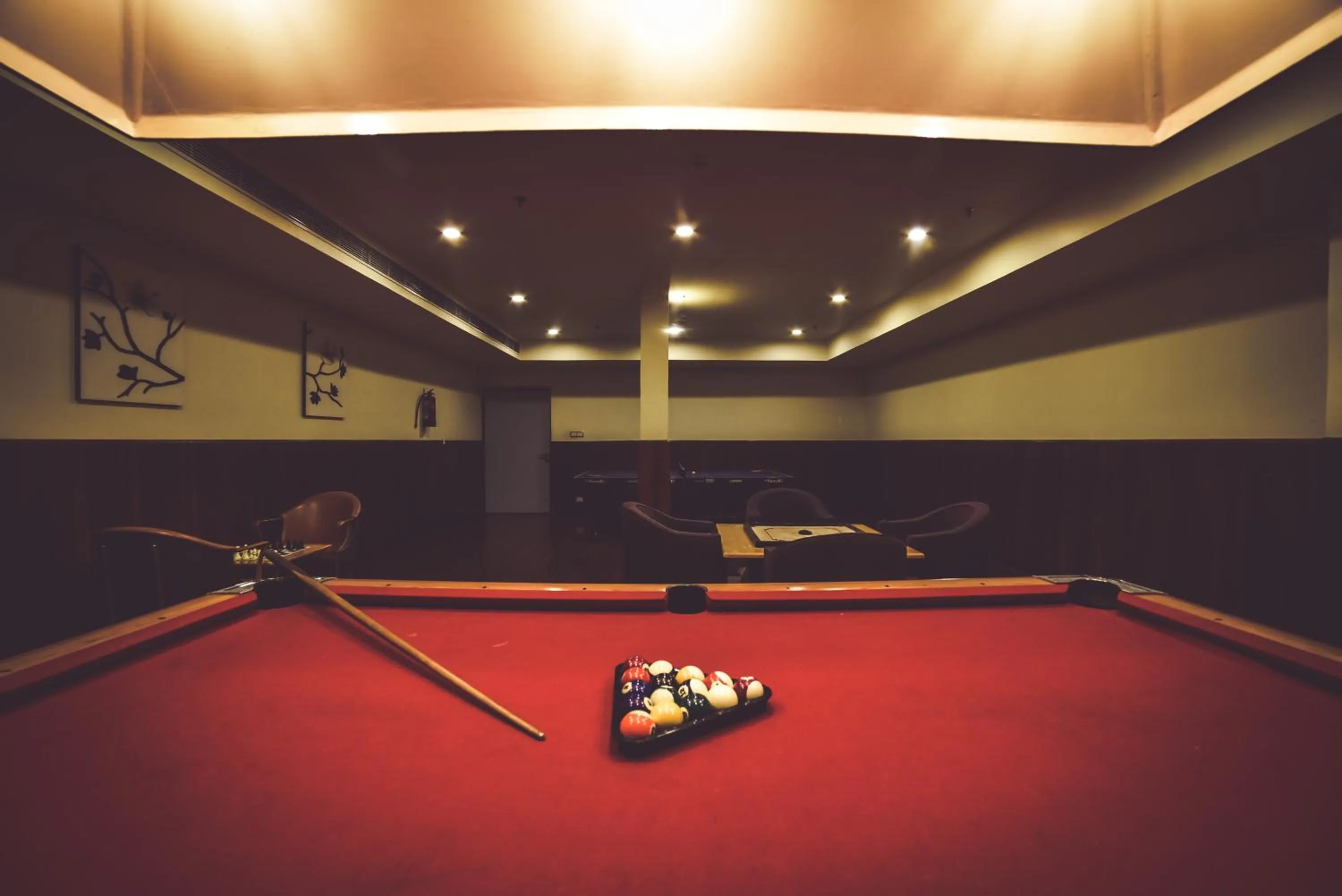 Billiard in Chokhi Dhani The Palace Hotel