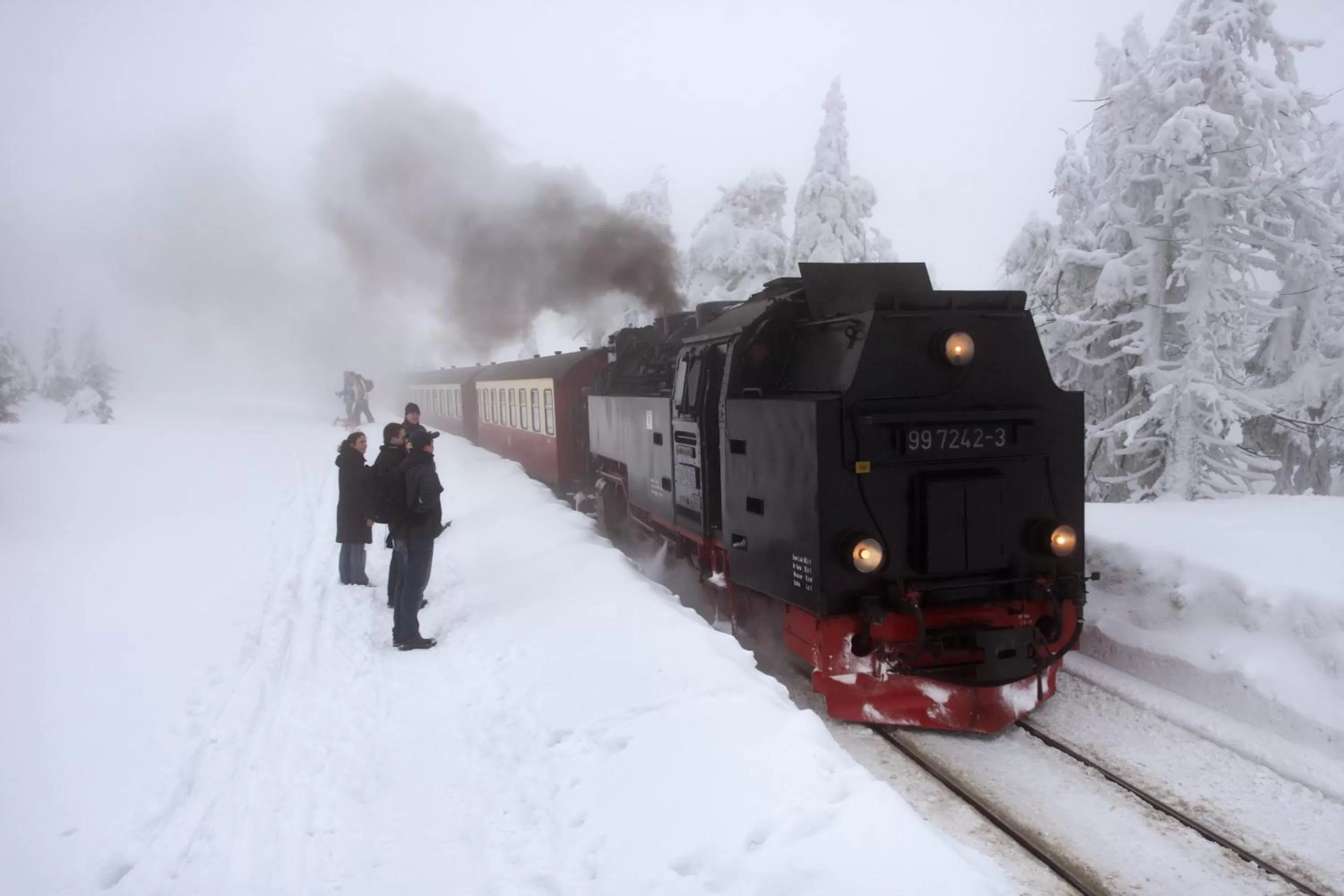 Activities in Altstadthotel Ilsenburg