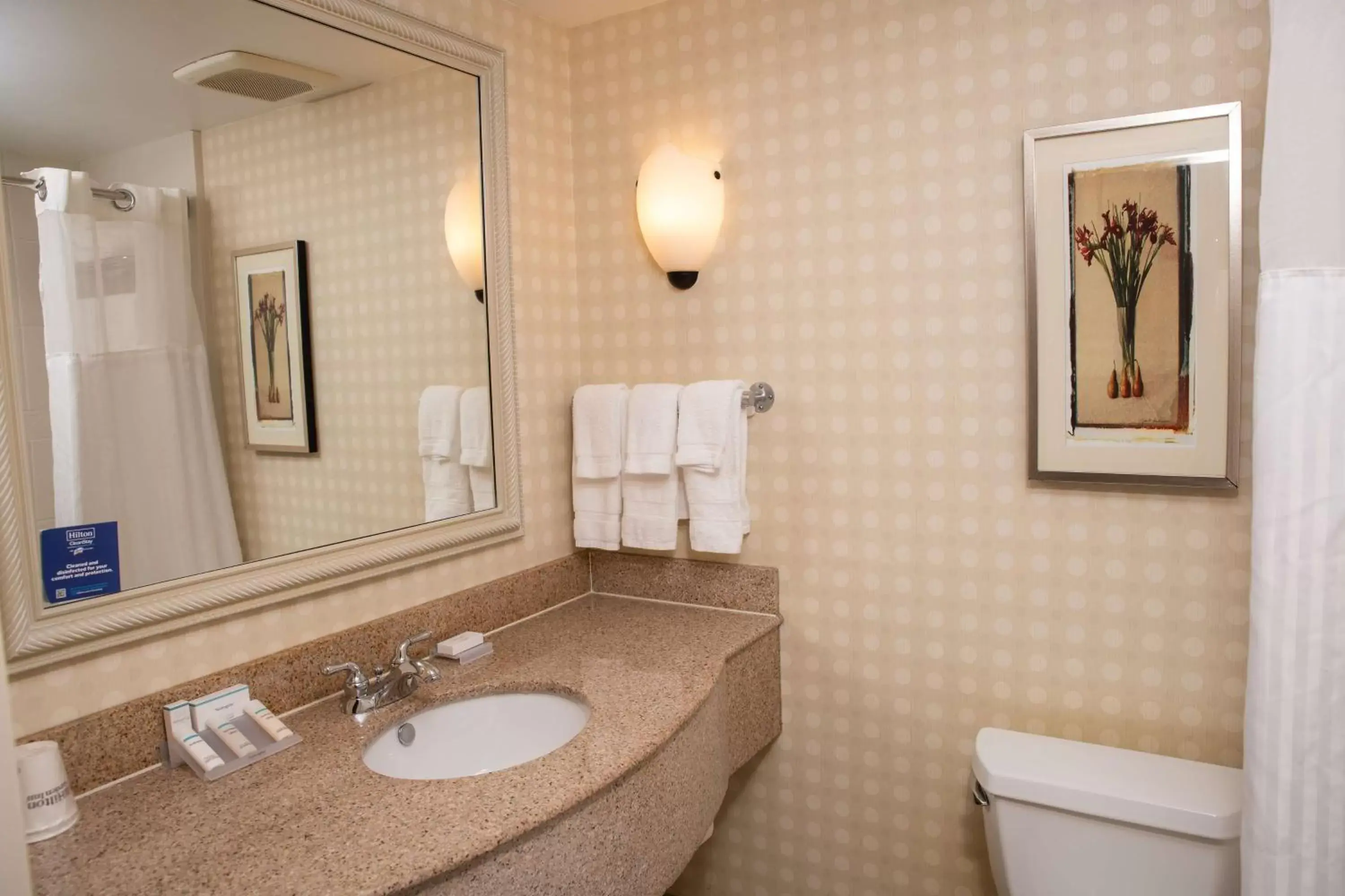 Bed, Bathroom in Hilton Garden Inn Erie