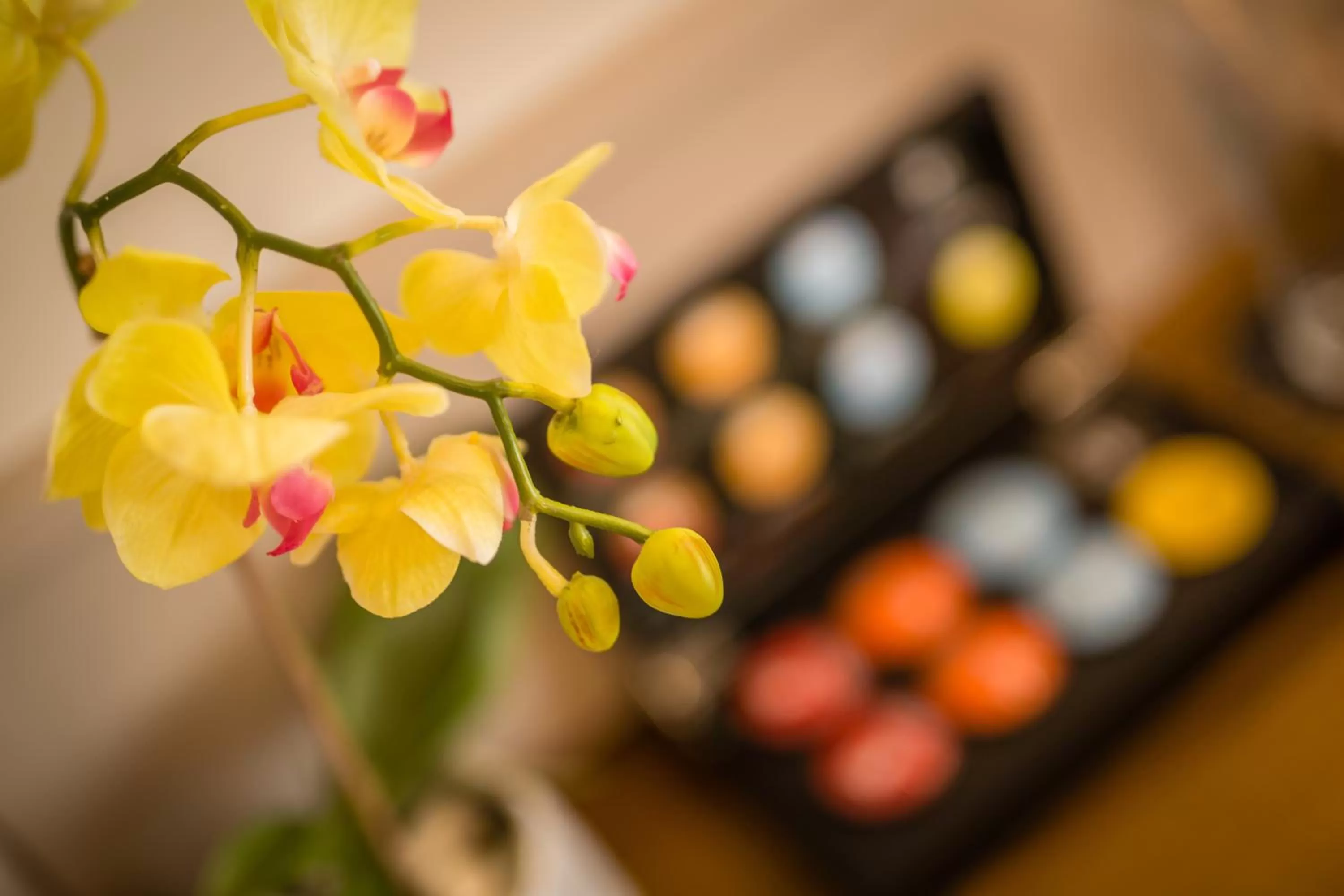 Decorative detail in Hotel Residence Promenade